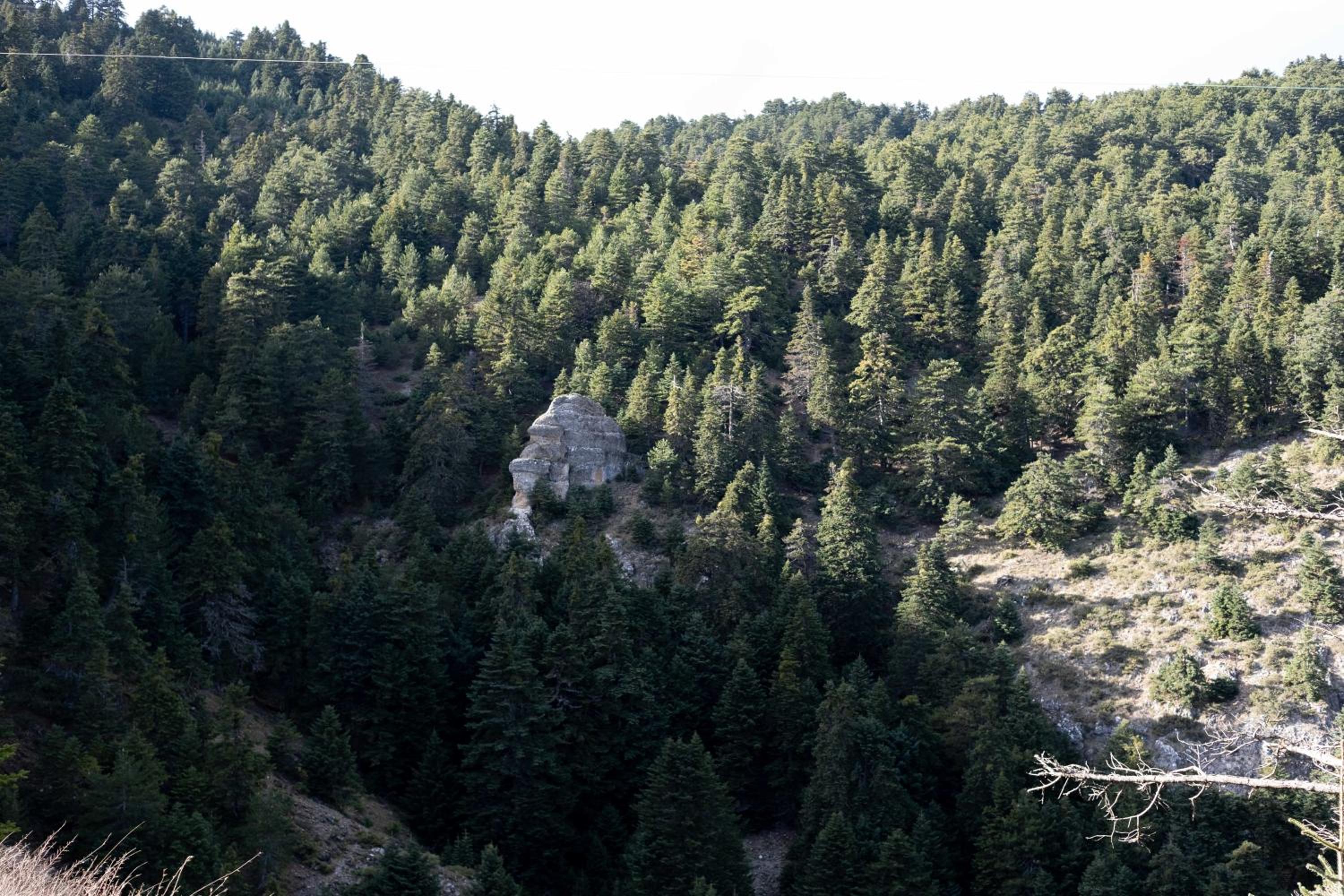 Photo 40