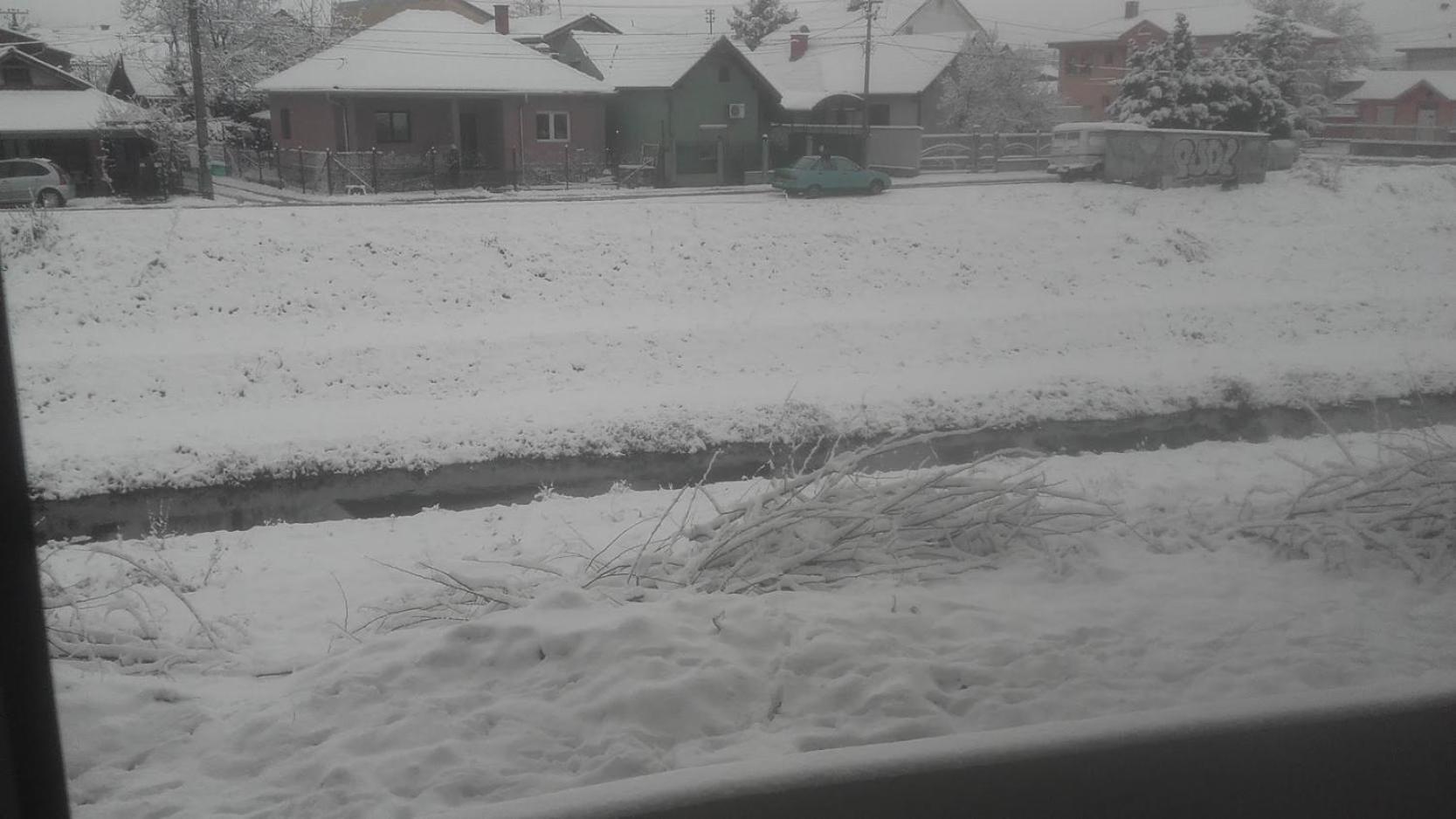 Photo 10