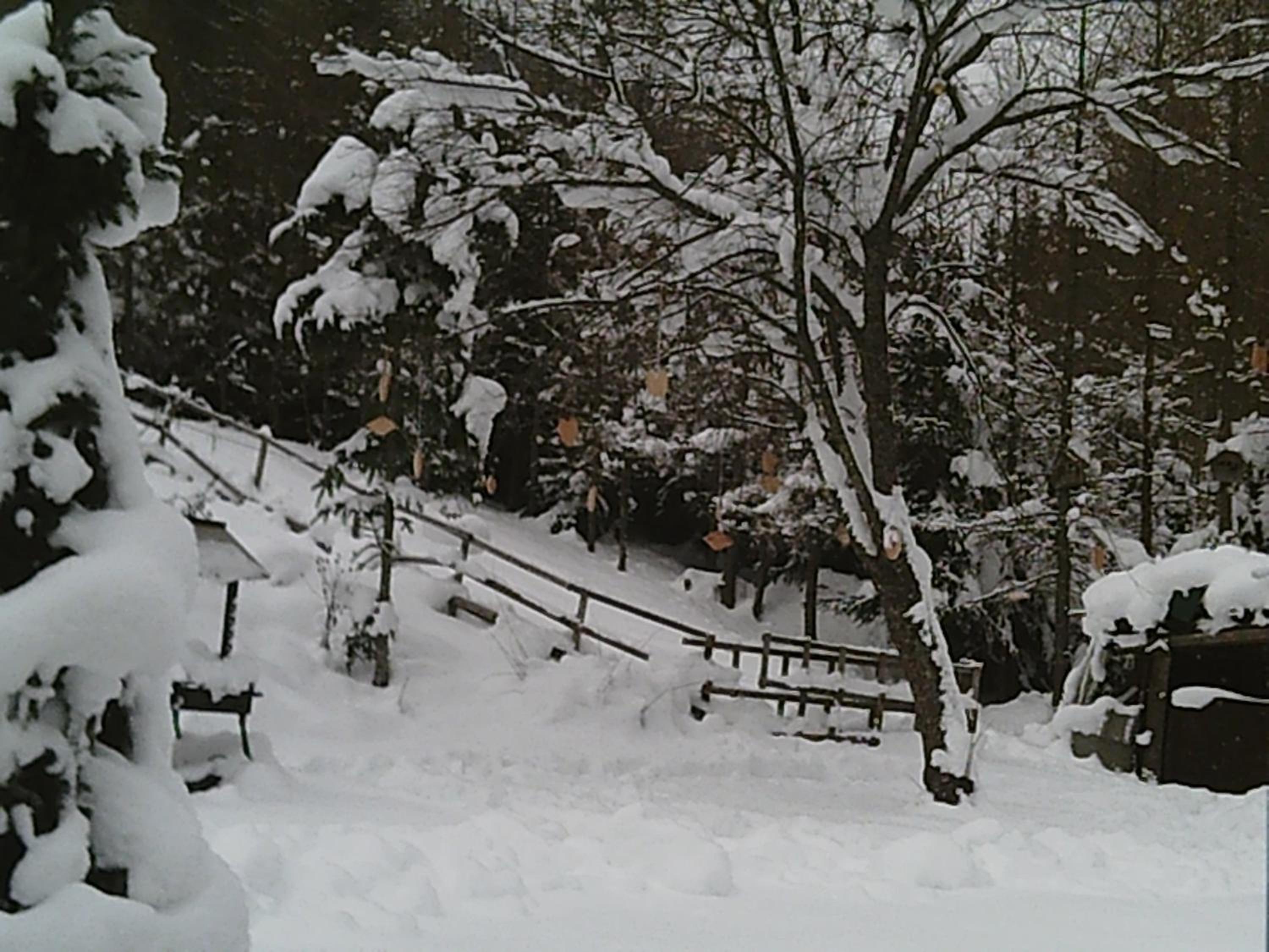Altes Forsthaus am Bach