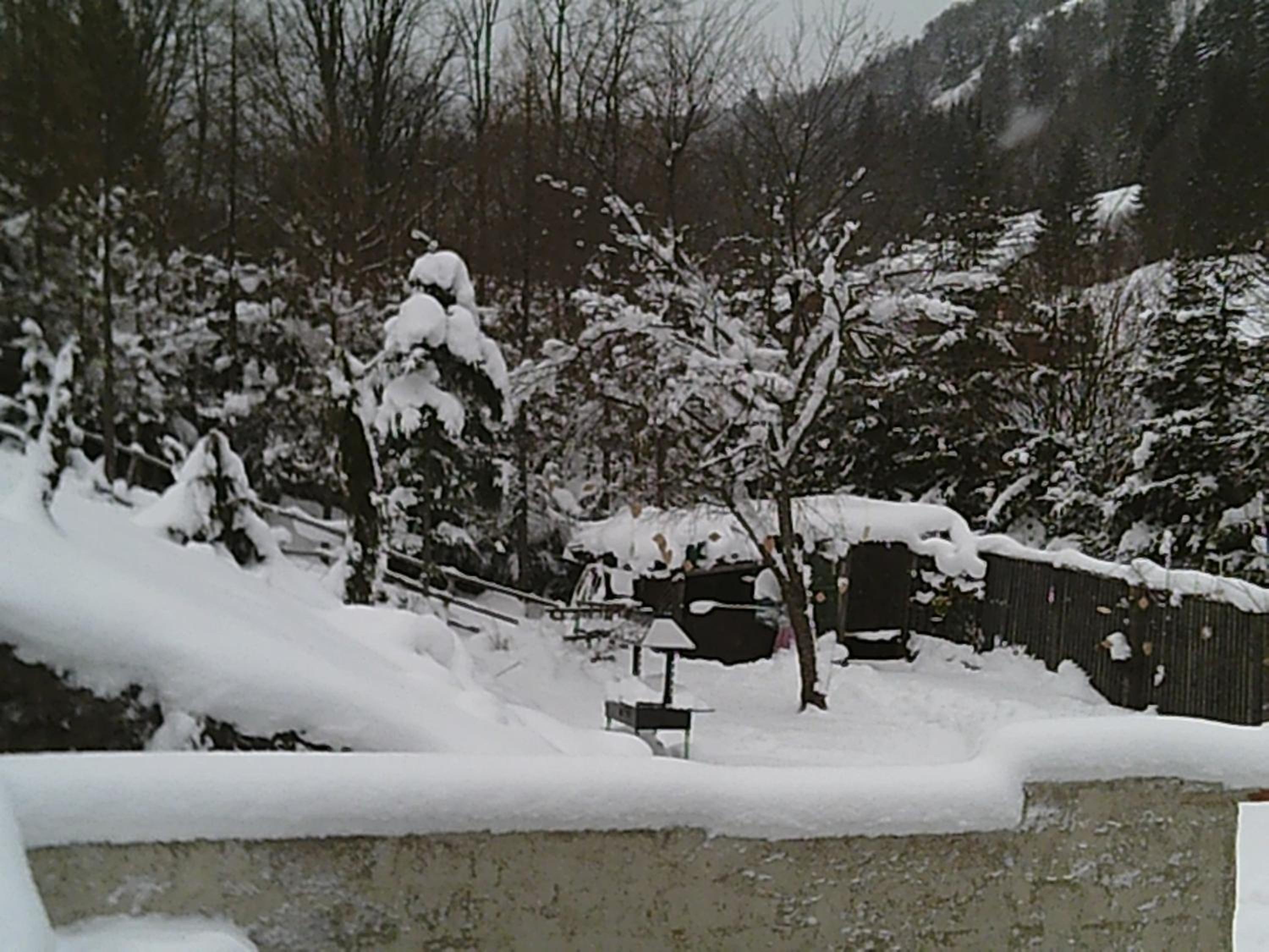 Altes Forsthaus am Bach