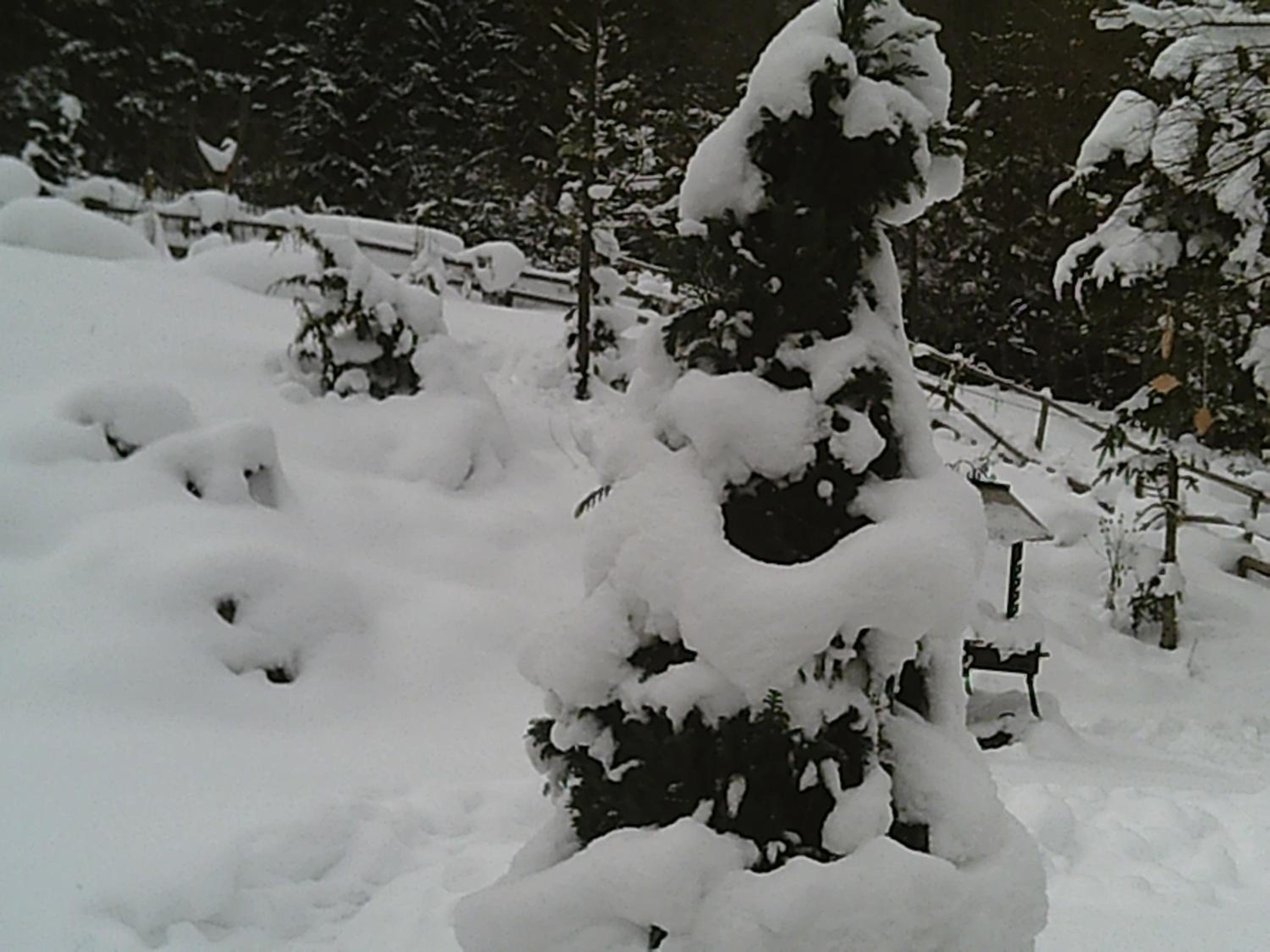 Altes Forsthaus am Bach