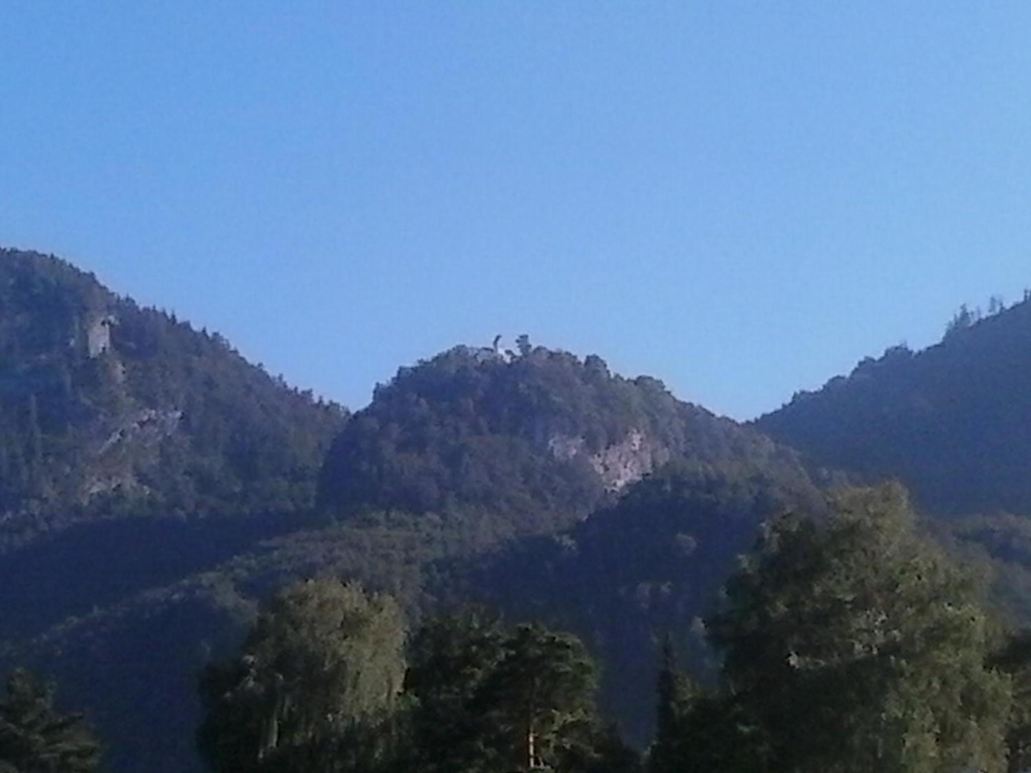 Berggasthaus Kraxenberger