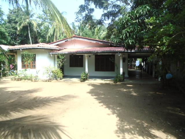Photo 46
