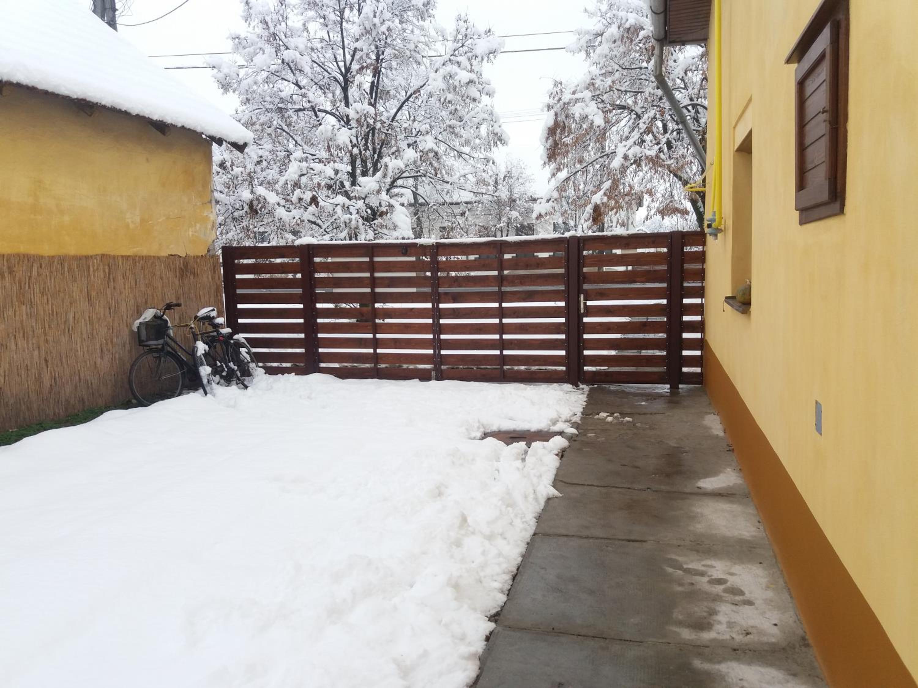 Photo 46