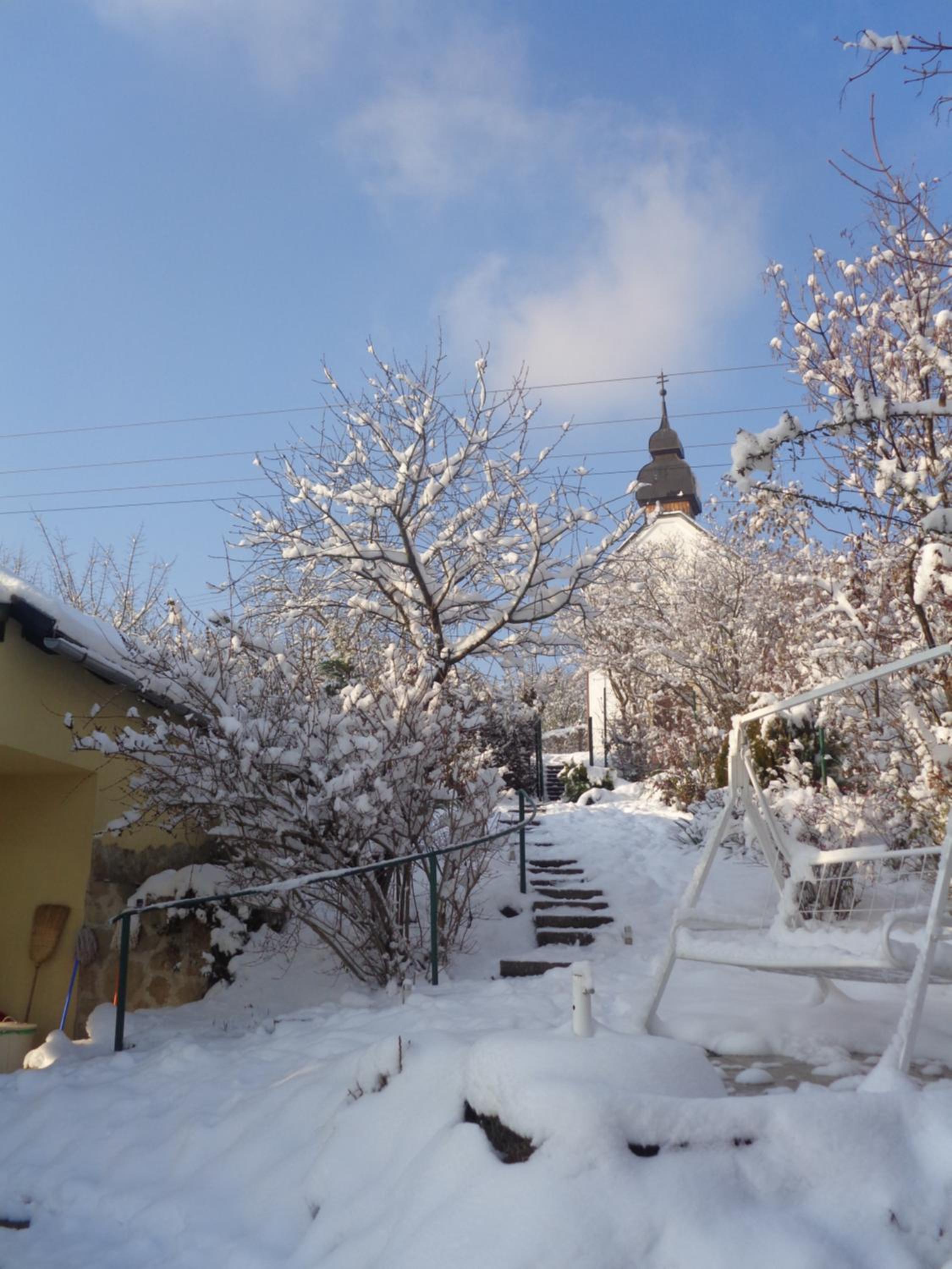 Photo 41