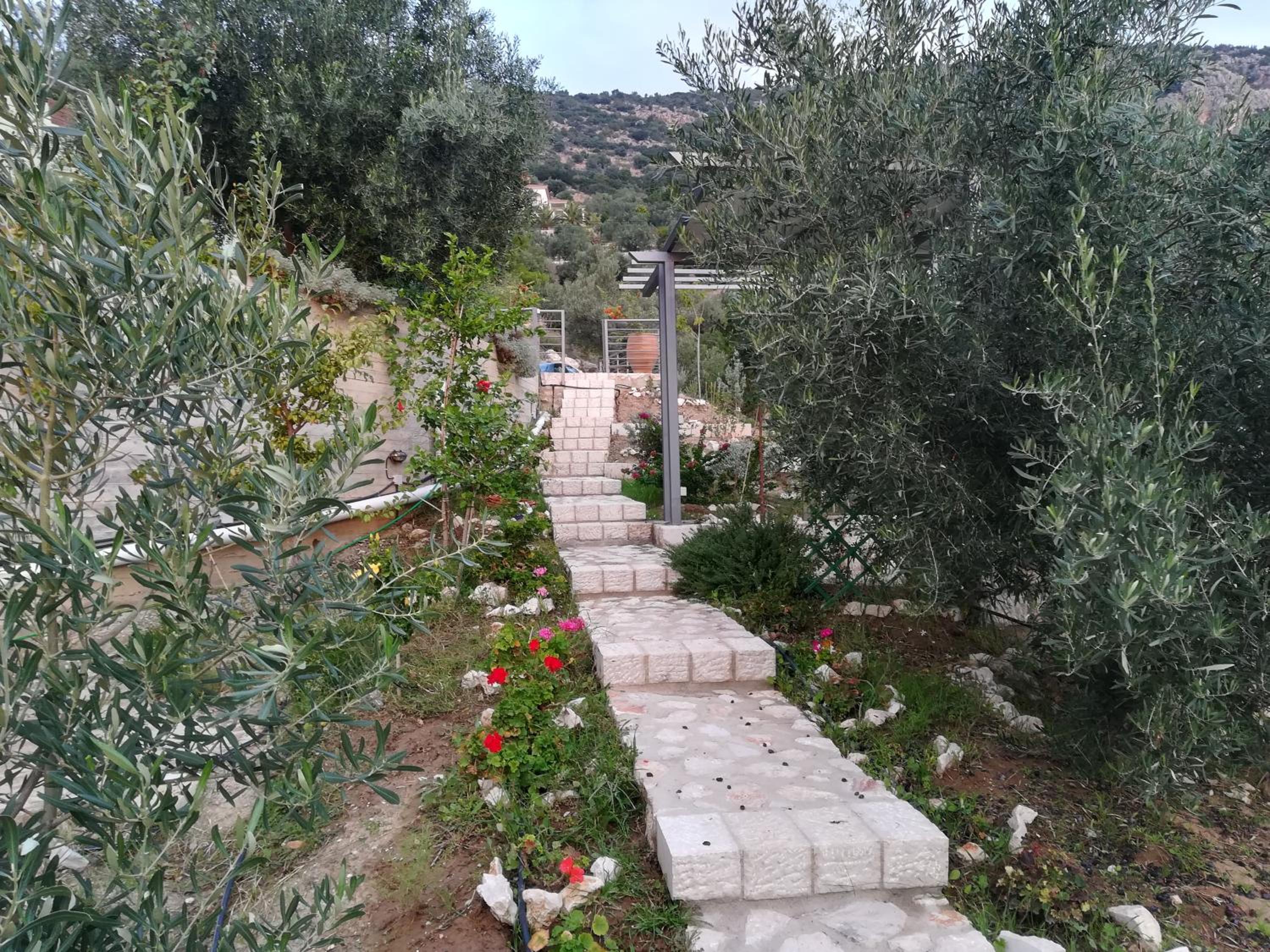 Photo 44