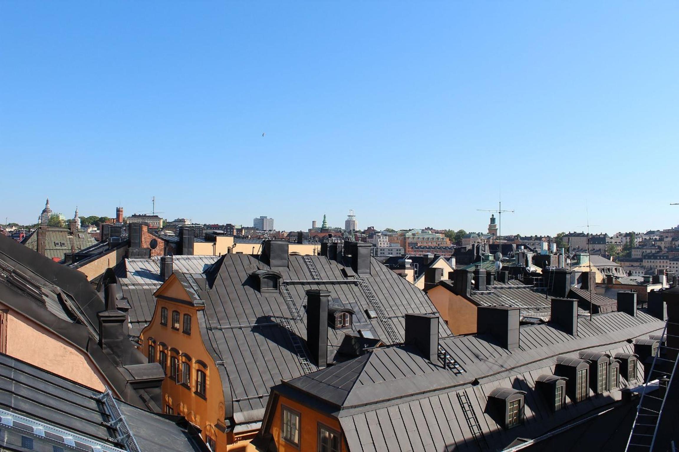 roof