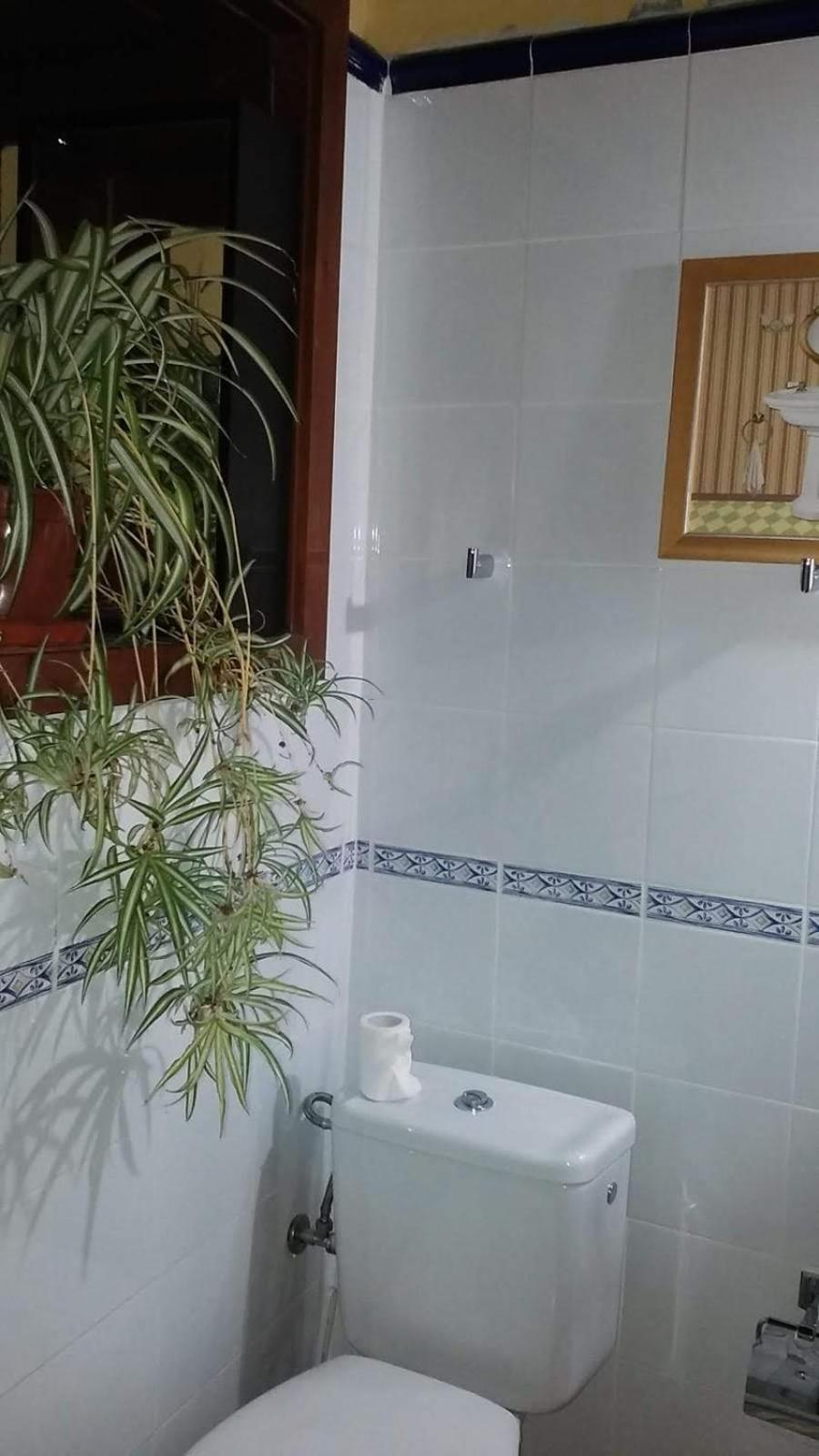 Casas Rurales Los Marantes