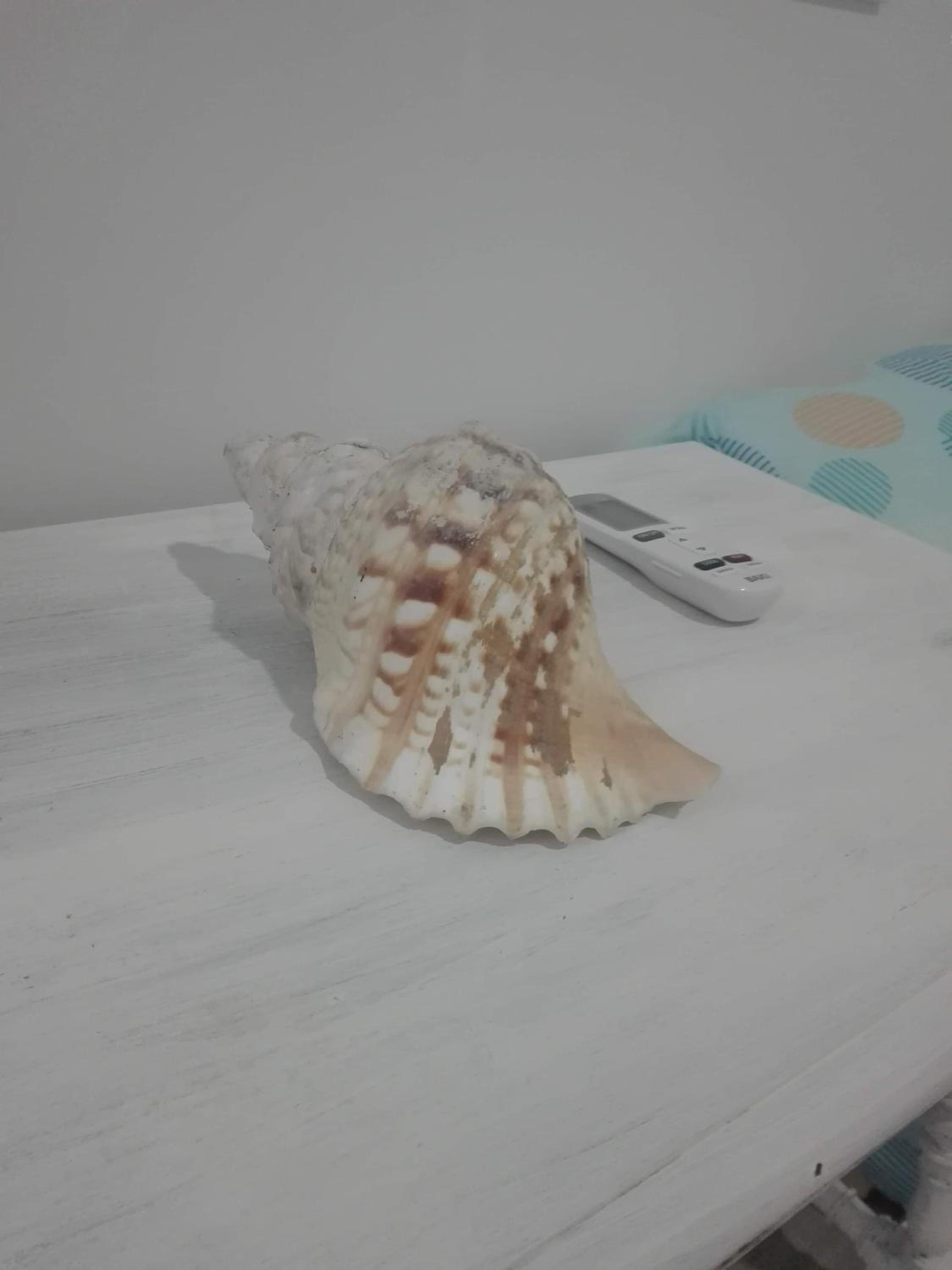 Photo 37