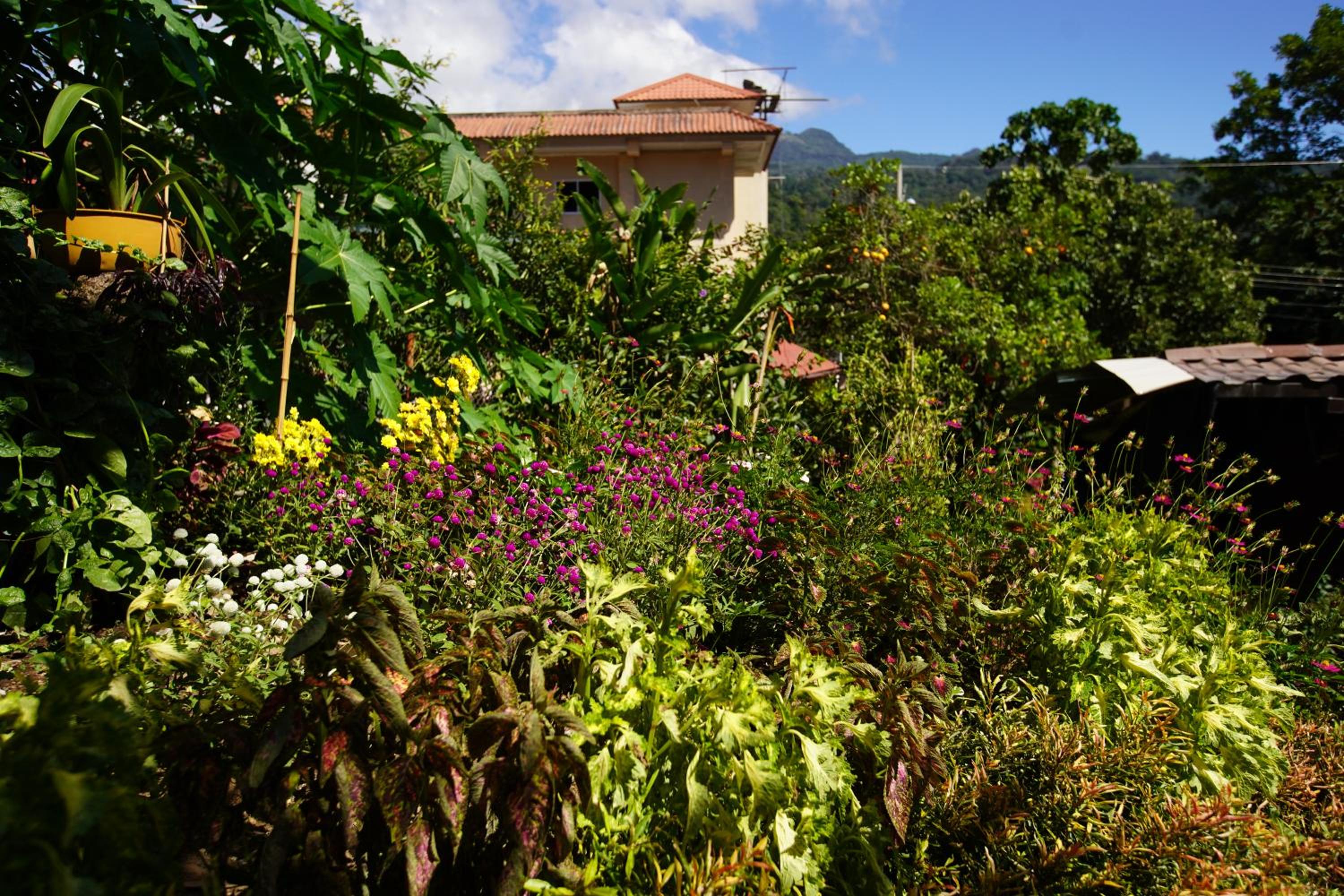Agaseke Lodge Boquete