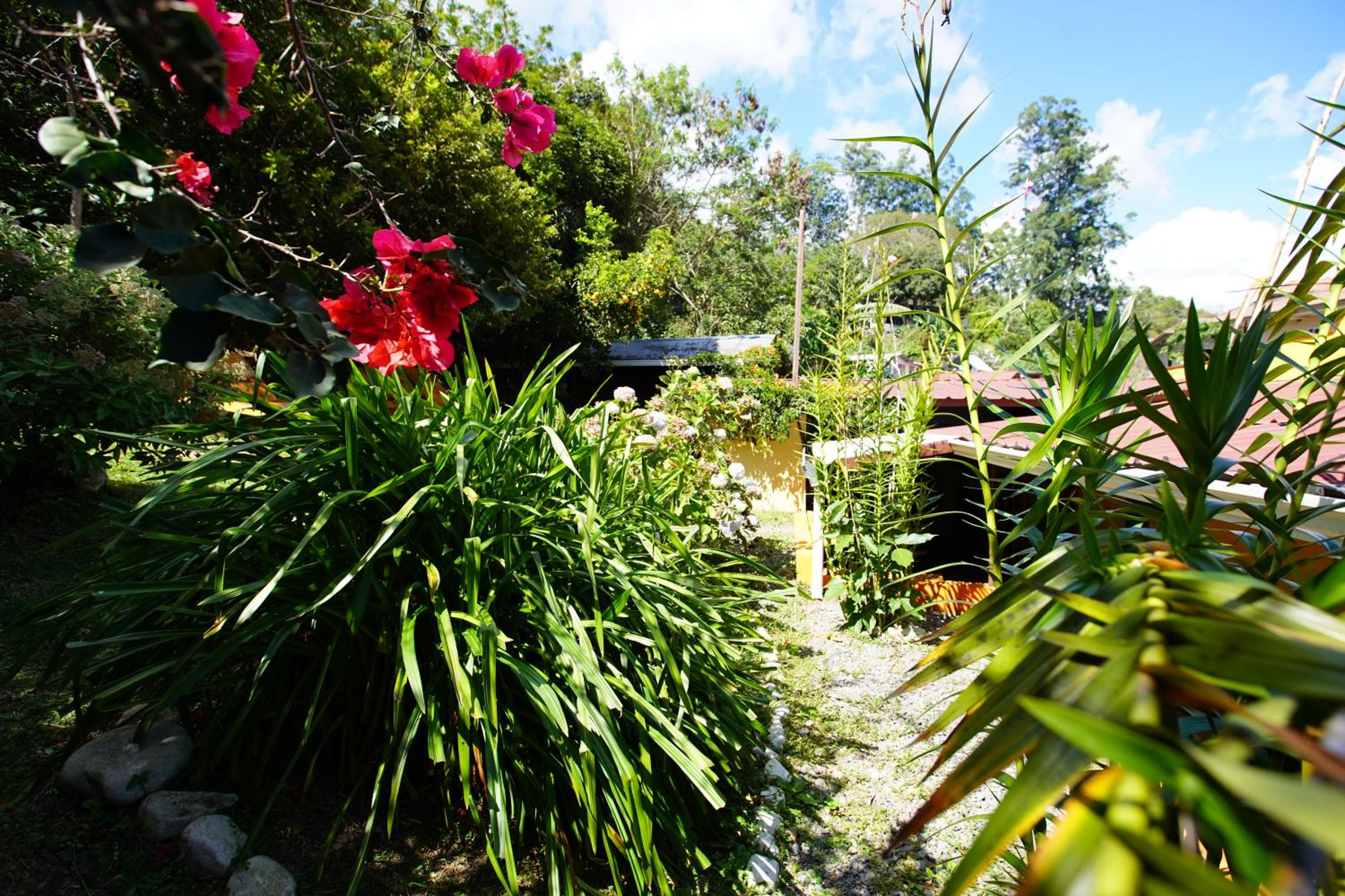 Agaseke Lodge Boquete