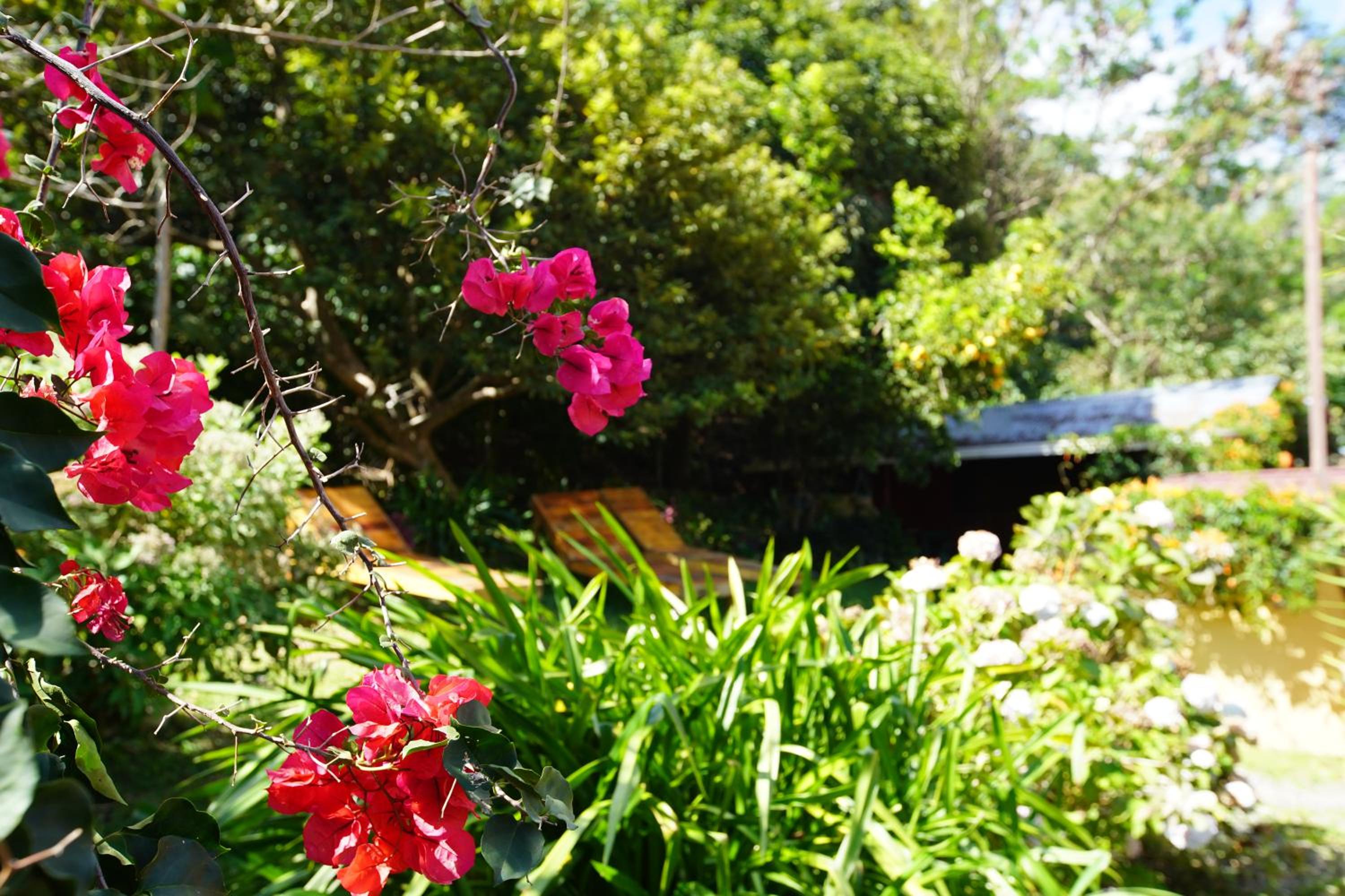 Agaseke Lodge Boquete