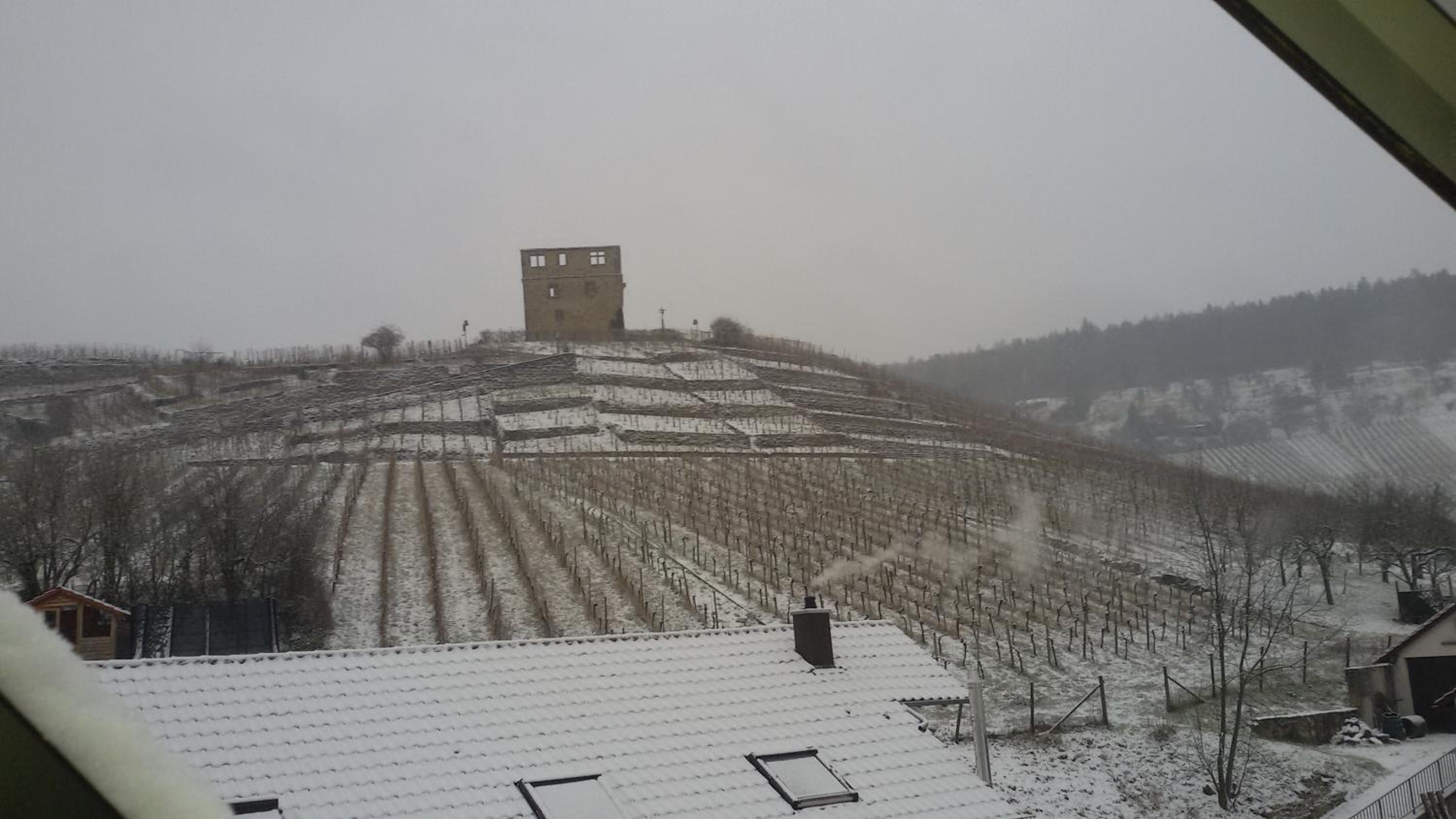 Giebelzimmer mit Weinbergblick view 4