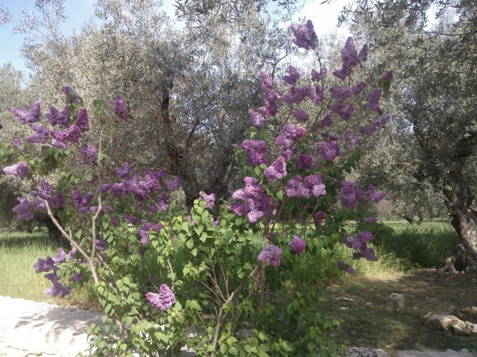 Photo 31