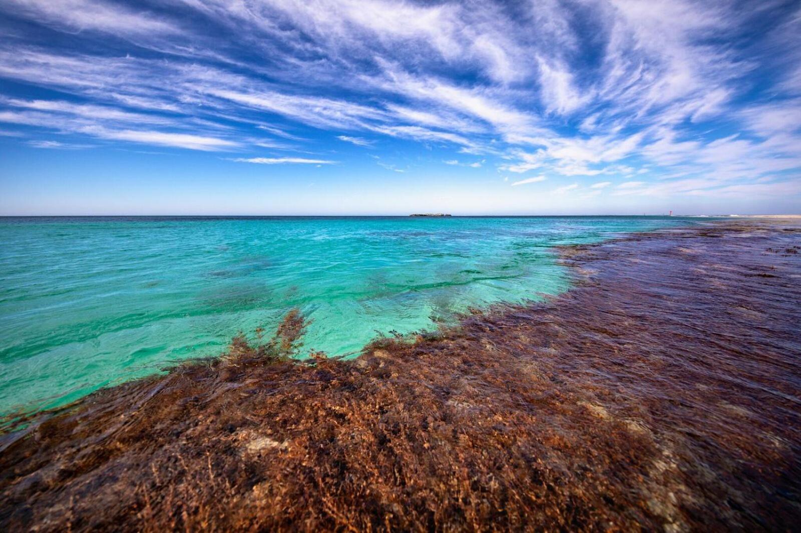 Discovery Resorts - Rottnest Island view 2