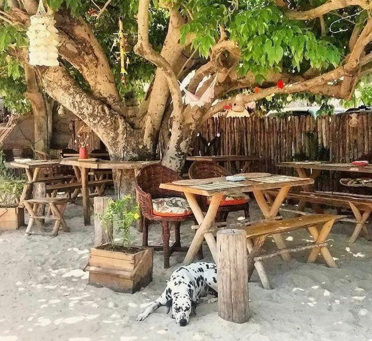 BougainVilla Guest House
