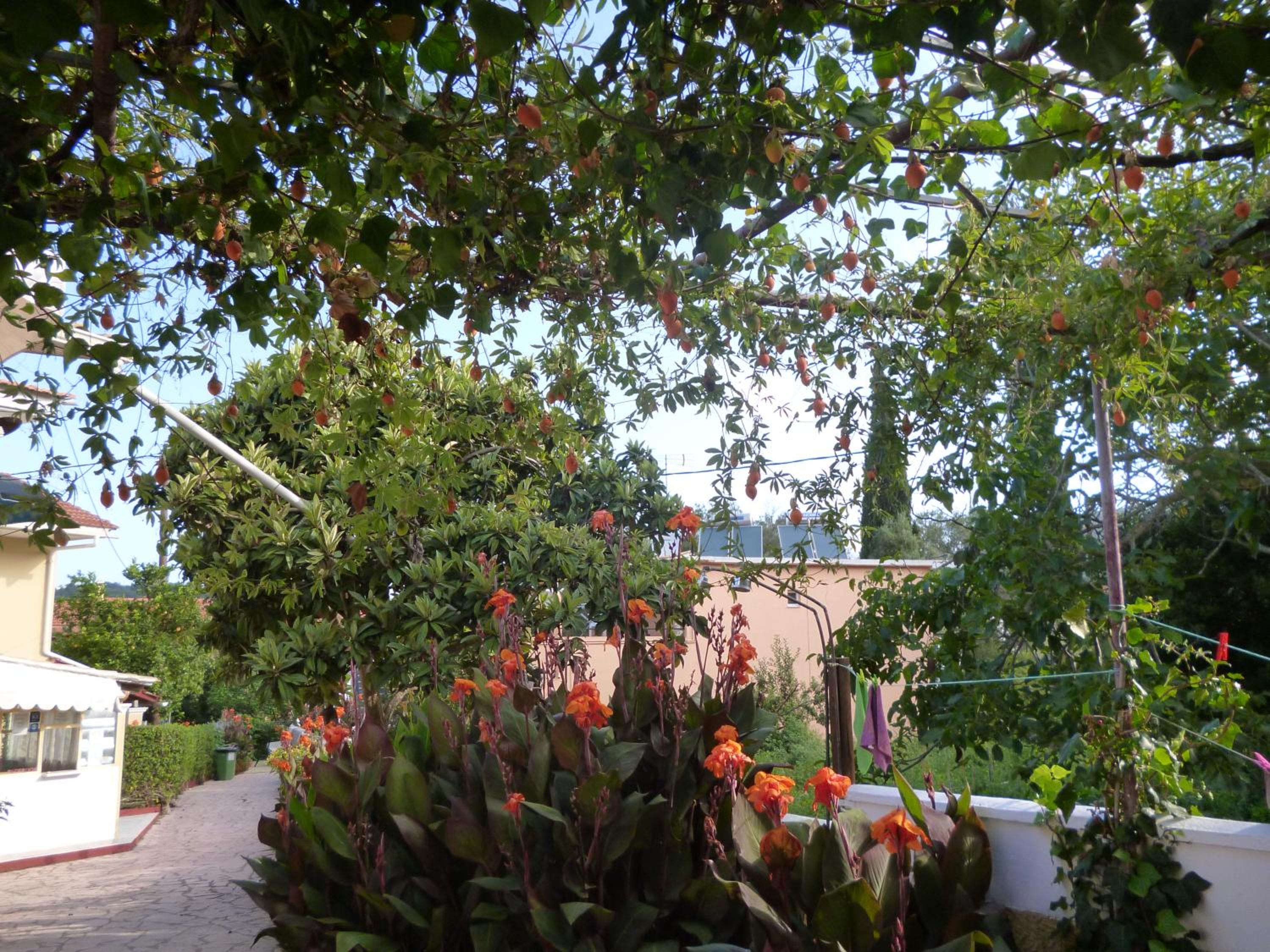 Kostas studios