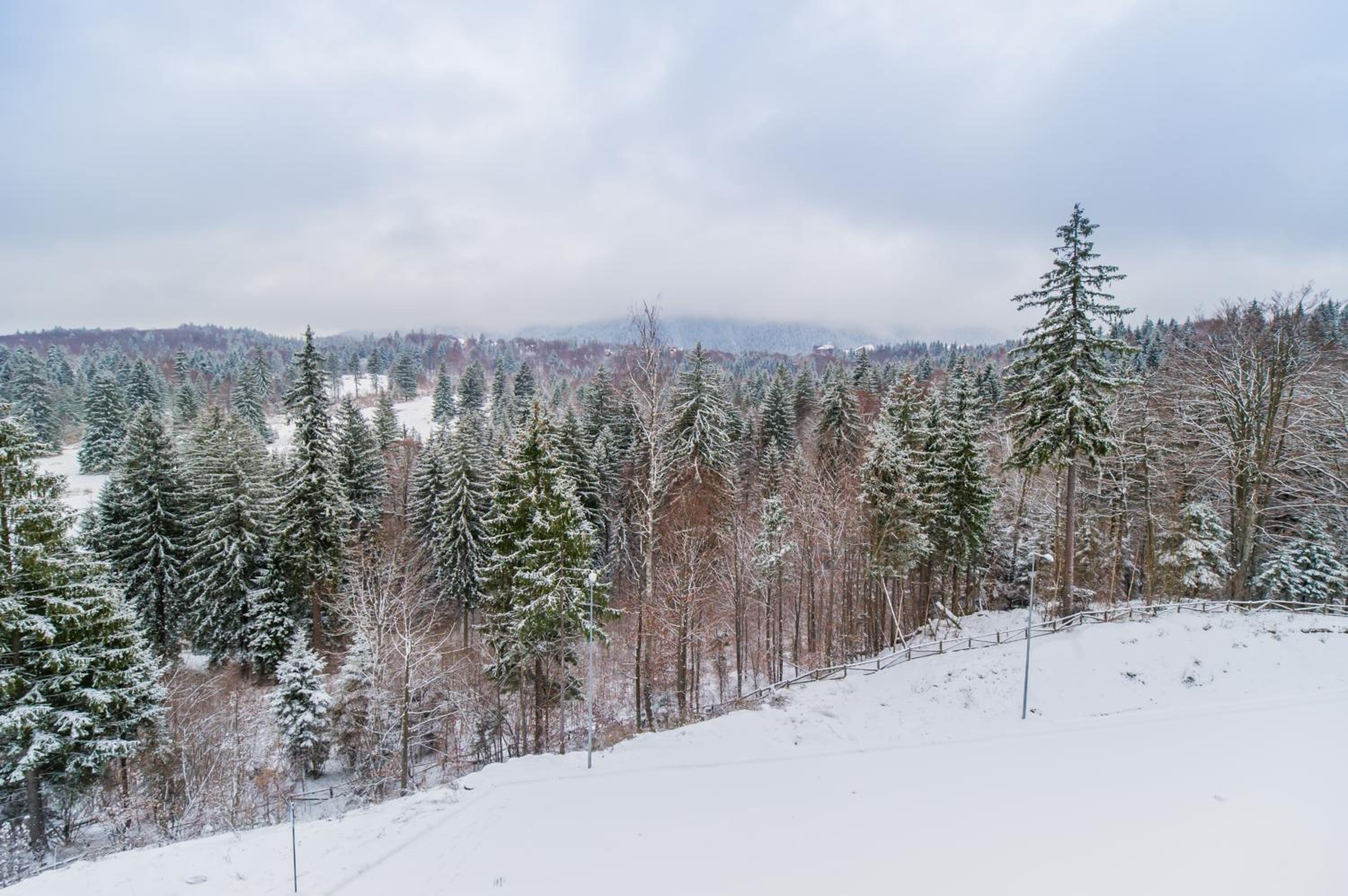 Twin studio Silver Mountain Poiana Brasov view 5