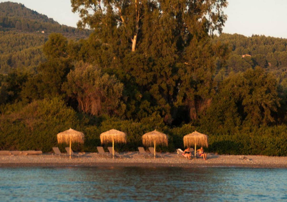 Just Barrett photo 3