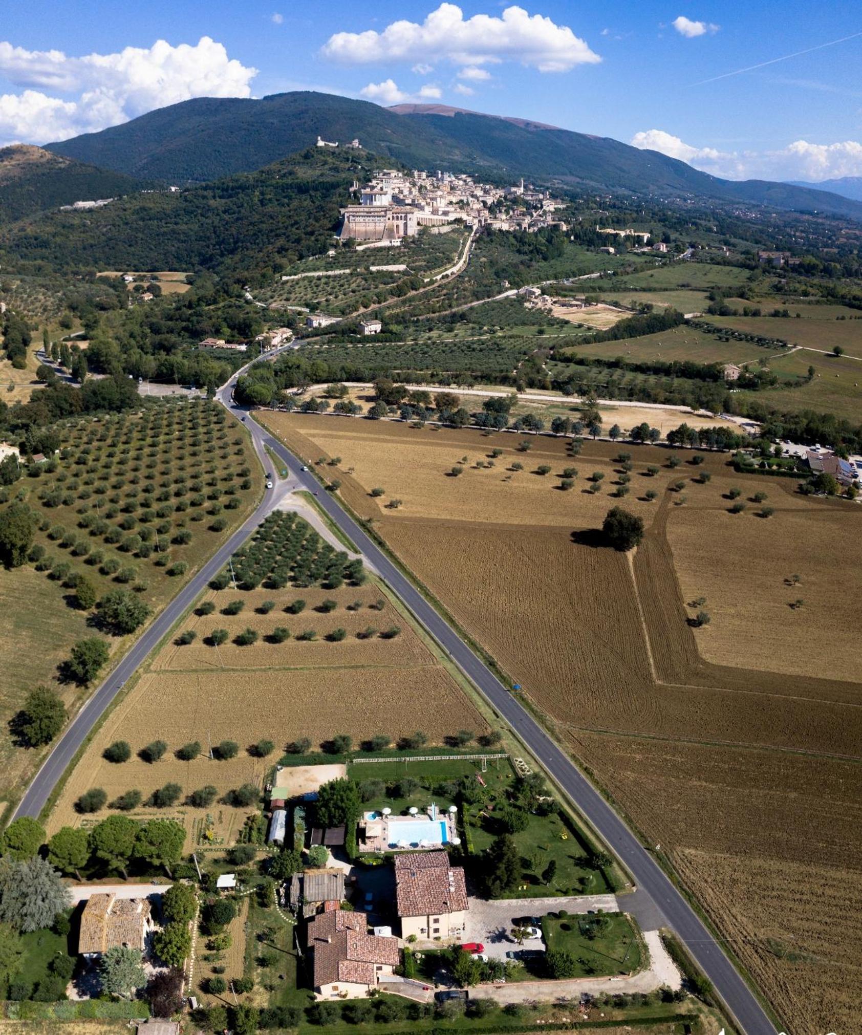 Agriturismo Il Girasole Assisi