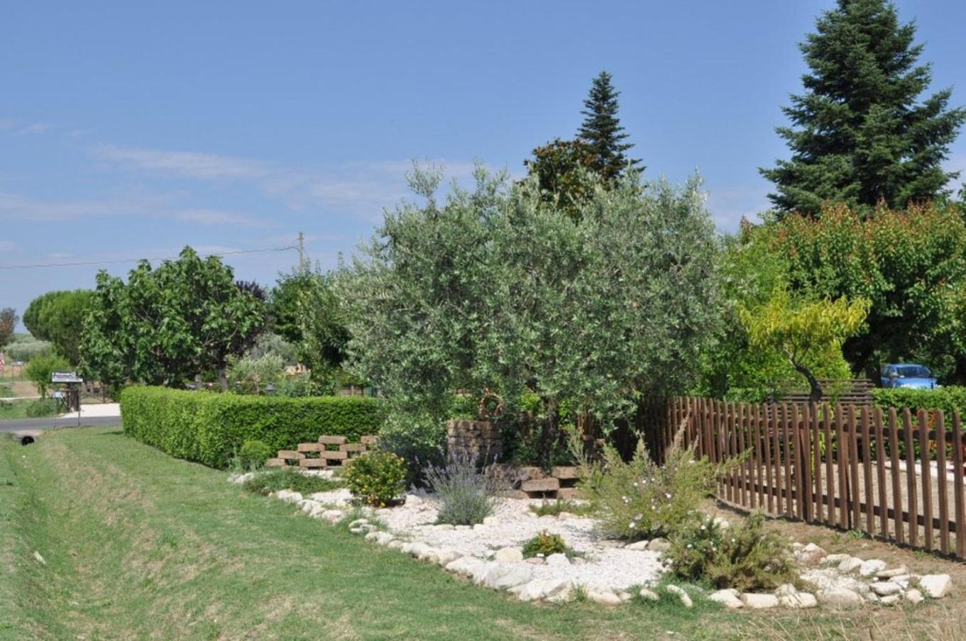 Agriturismo Il Girasole Assisi