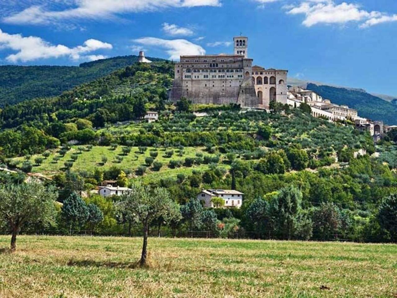 Agriturismo Il Girasole Assisi
