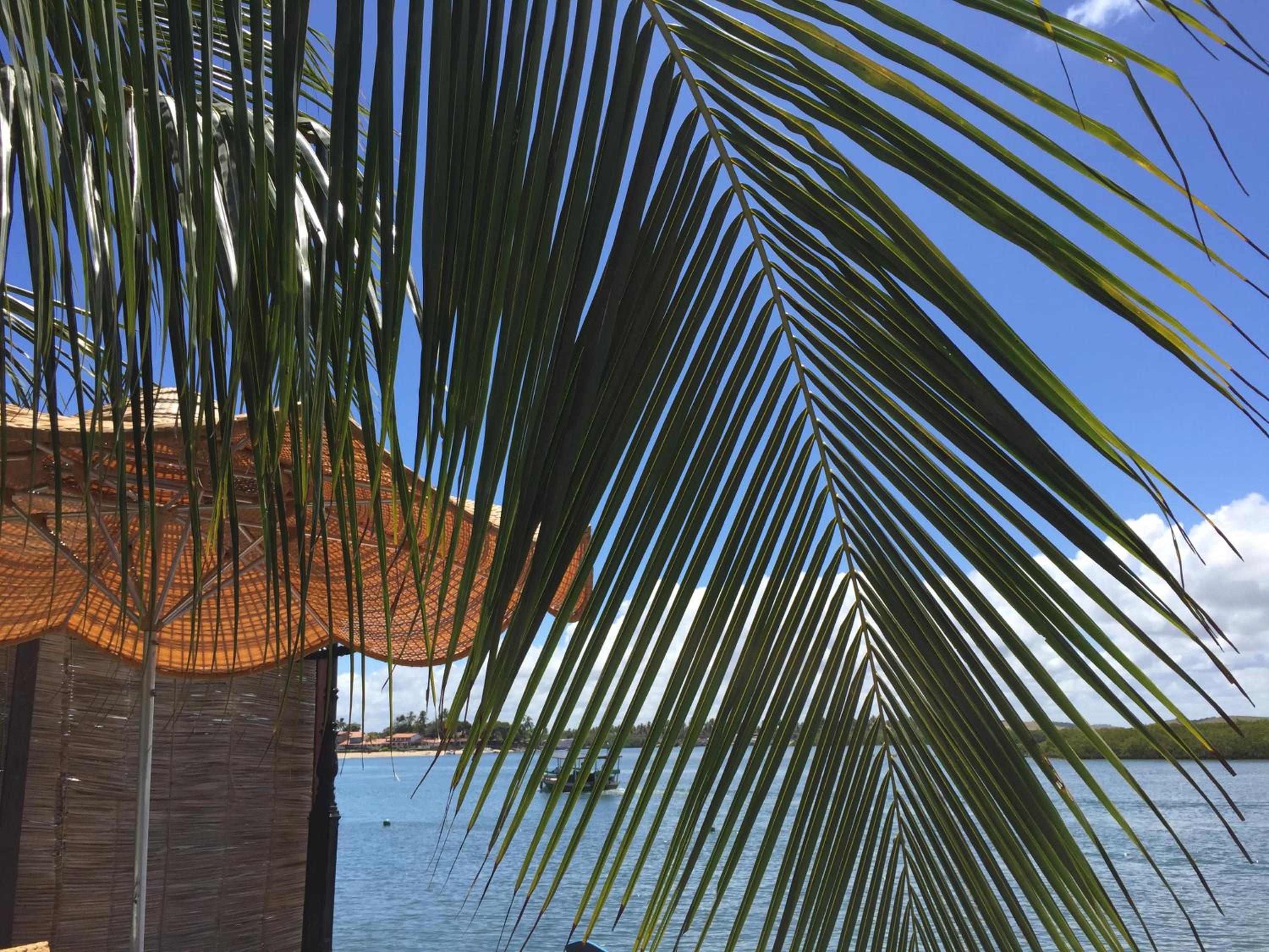 Casa praia Porto de Galinhas Toquinho
