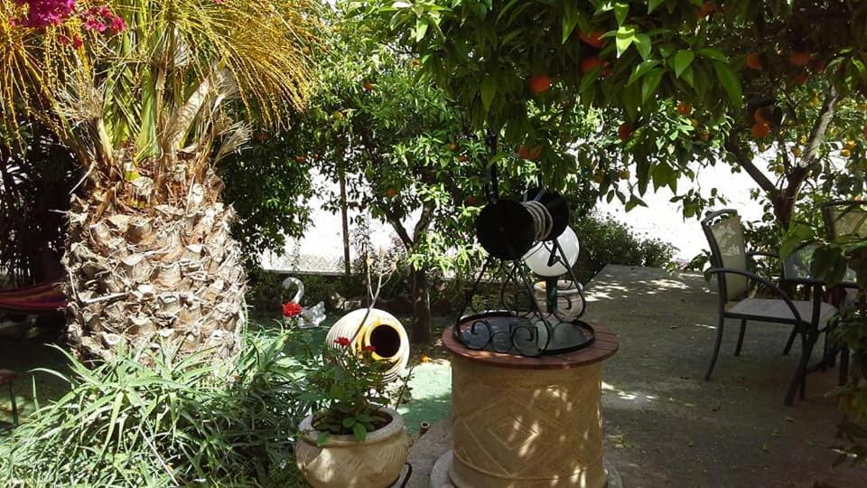 Villa Manolis photo 3