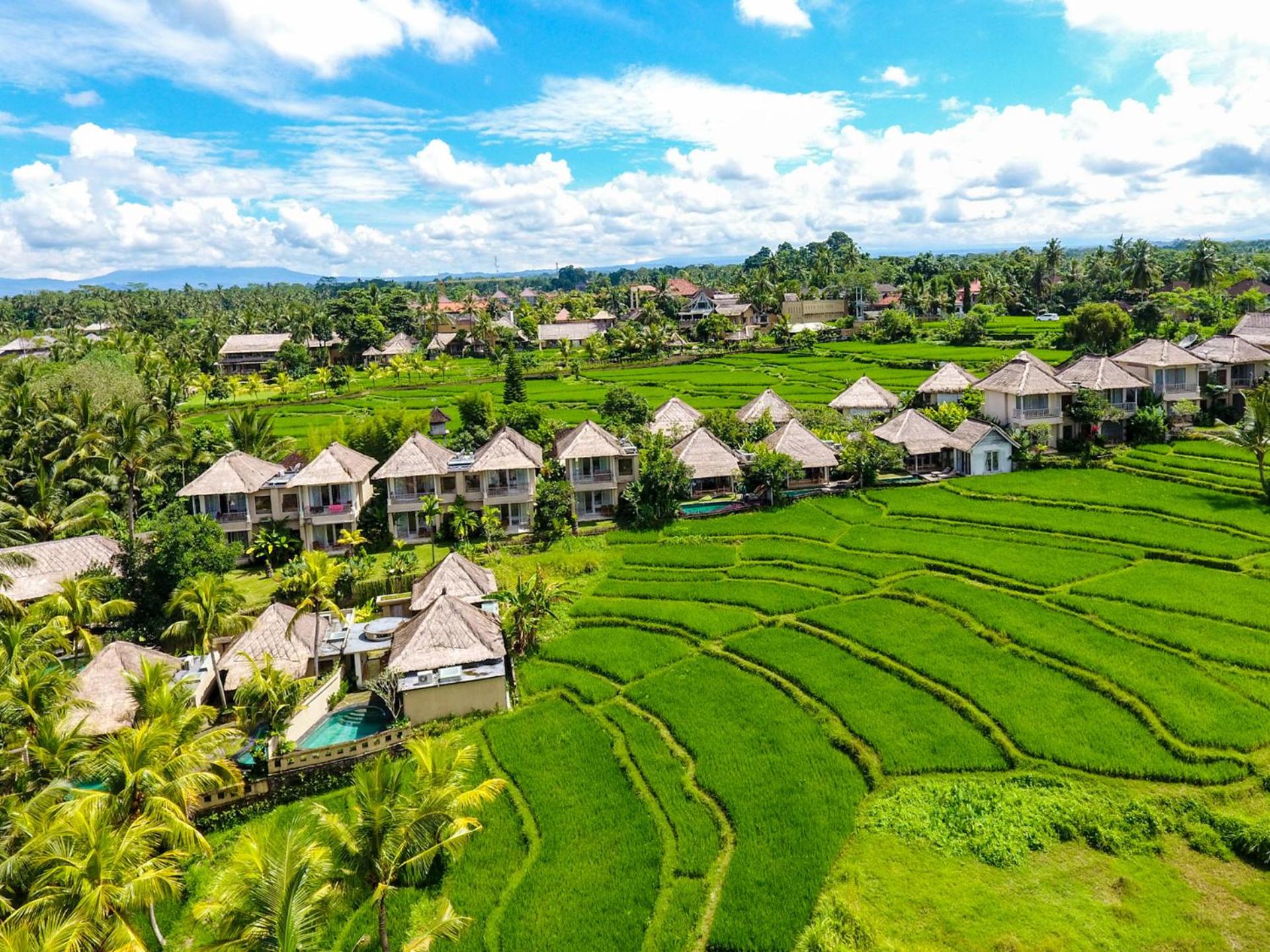 Hotel Mesari Hotel Ubud