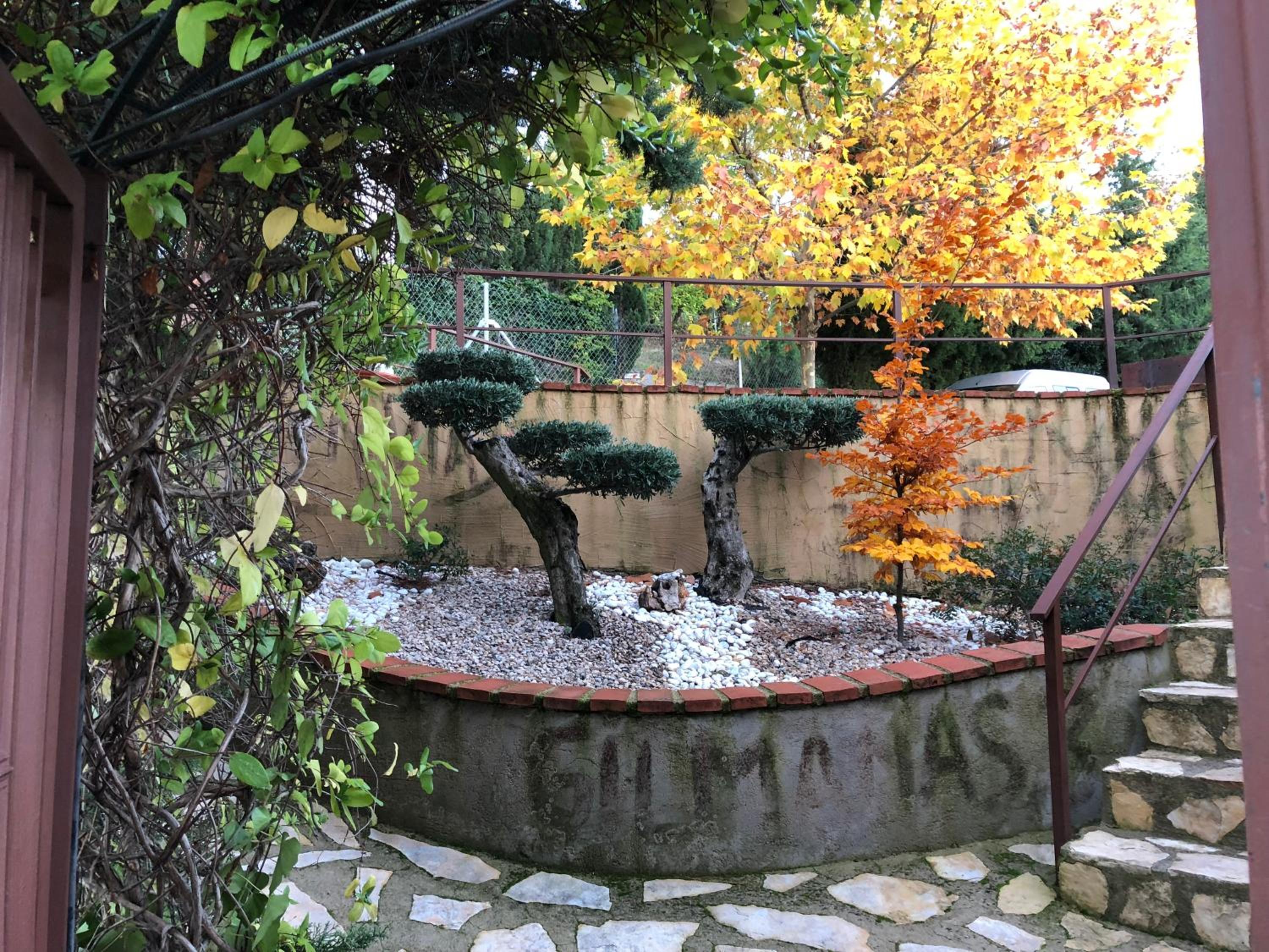 Photo 27