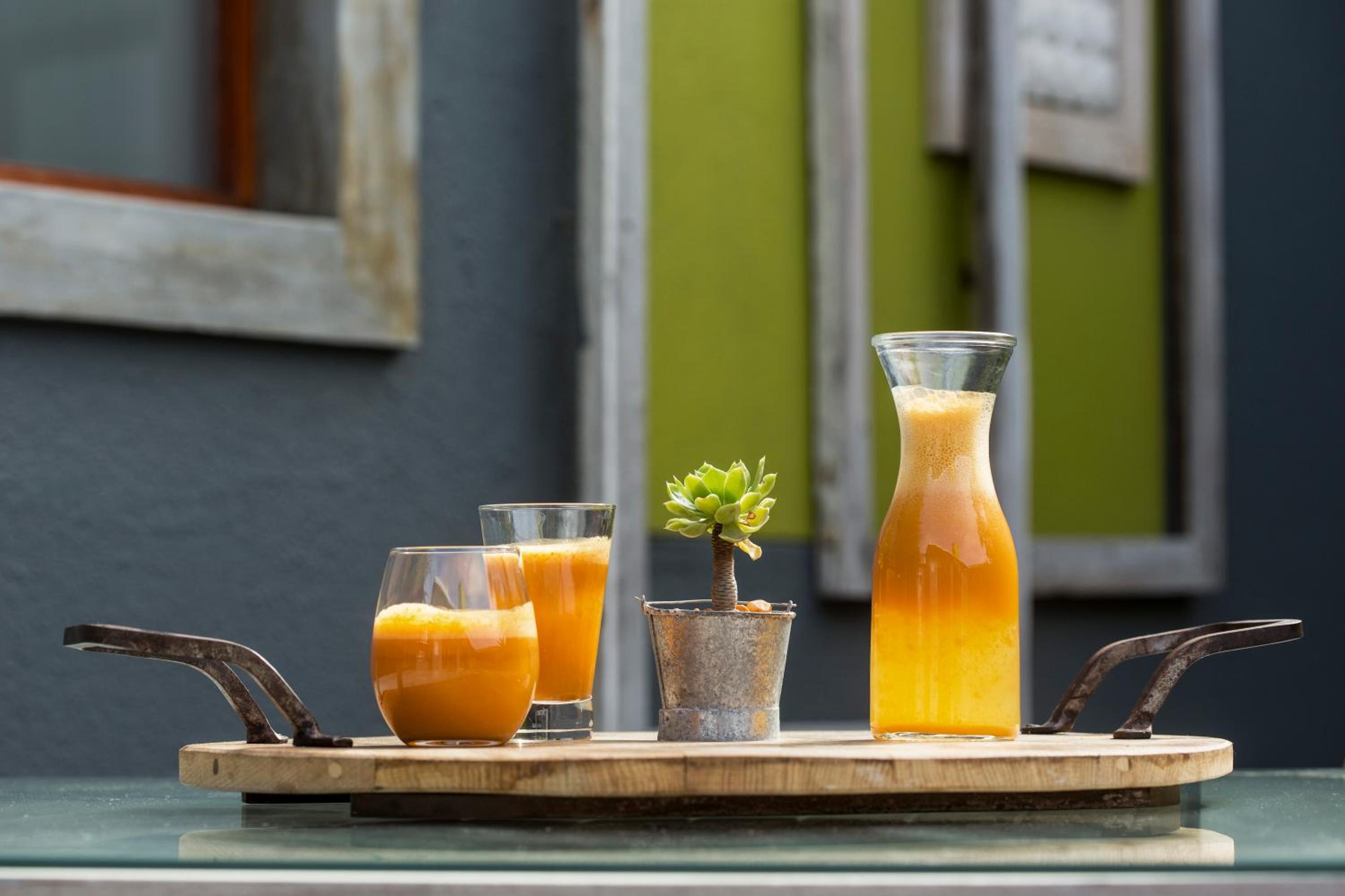 Organic Stay Guesthouse