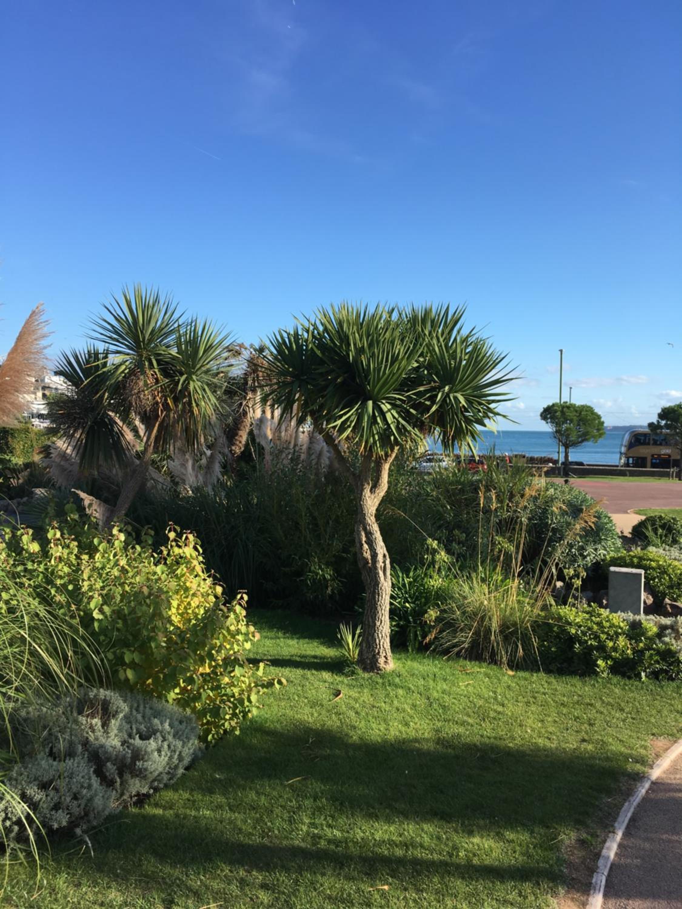 Torquay Vacations - Newburgh Guesthouse - Property Image 27