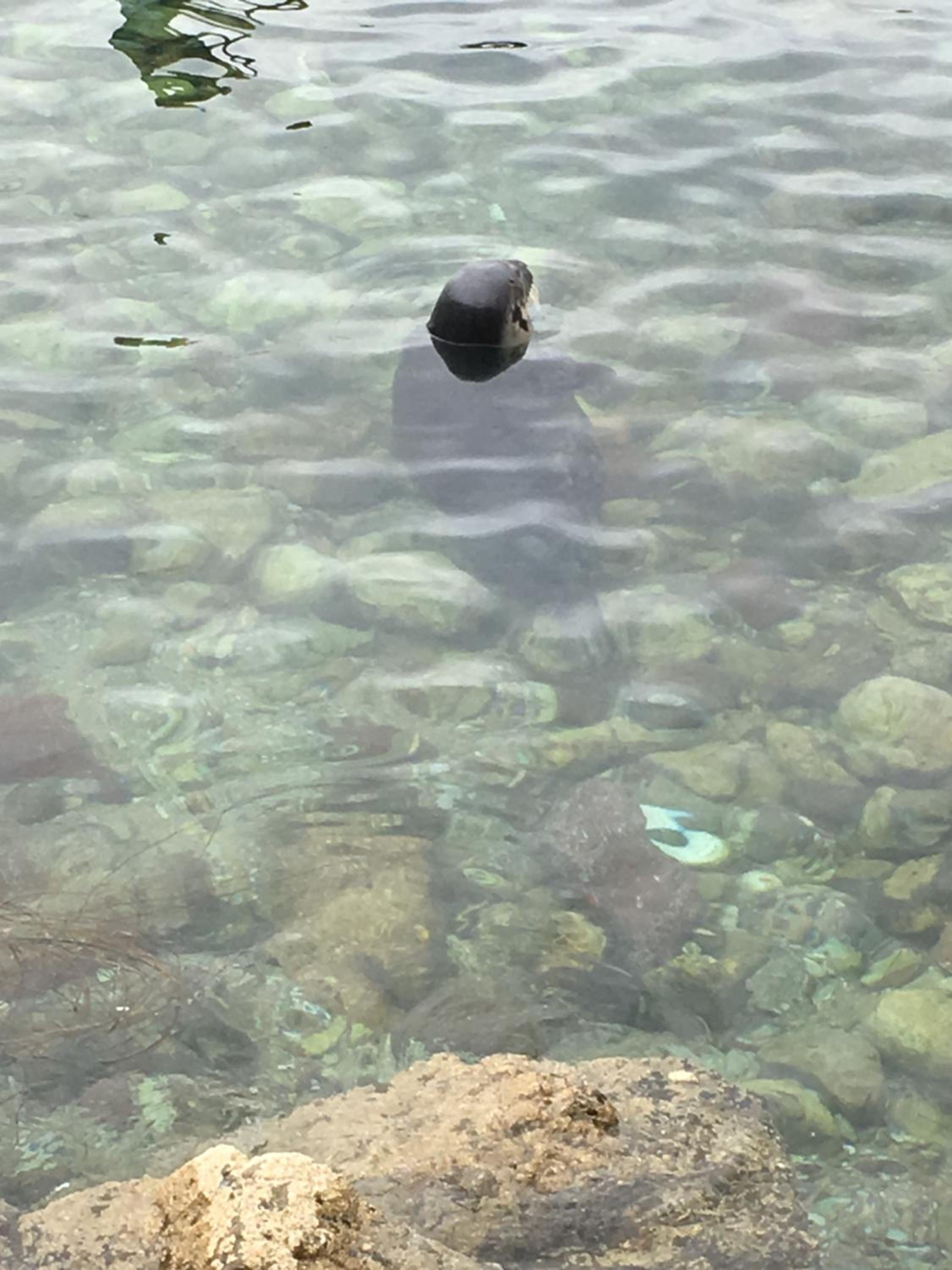 Torquay Vacations - Newburgh Guesthouse - Property Image 24