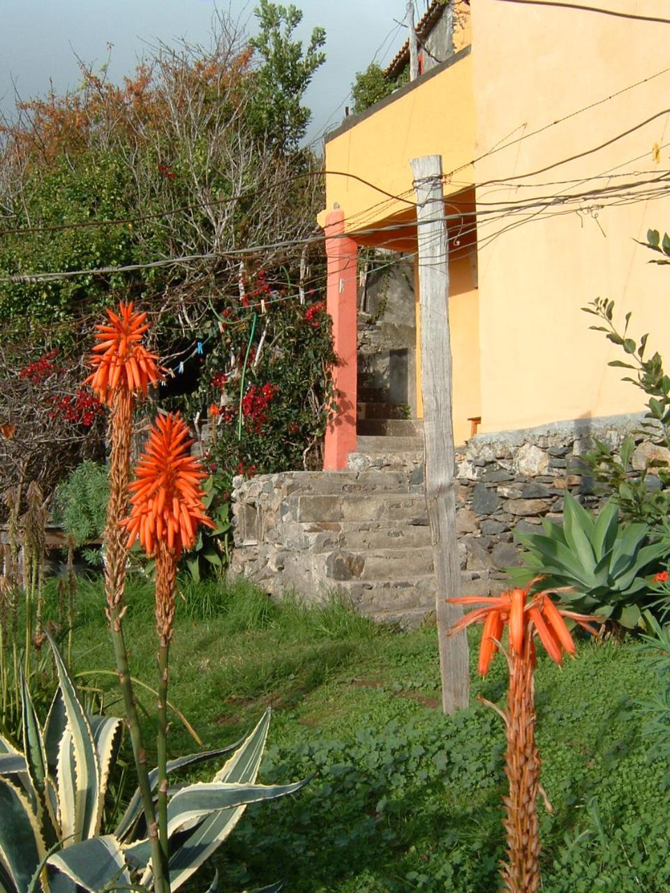 Photo 44