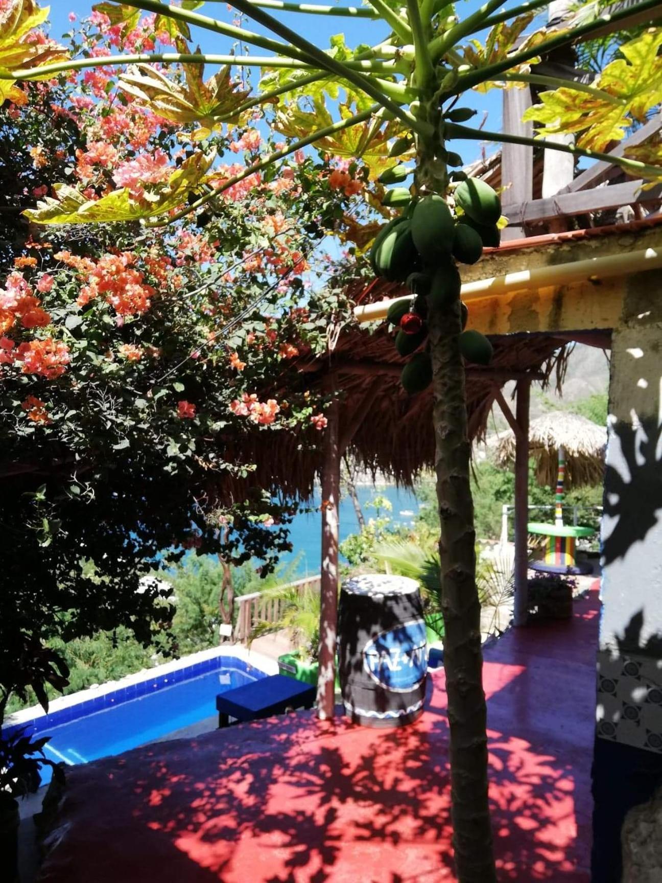 Hostal Casa Horizonte - Property Image 6