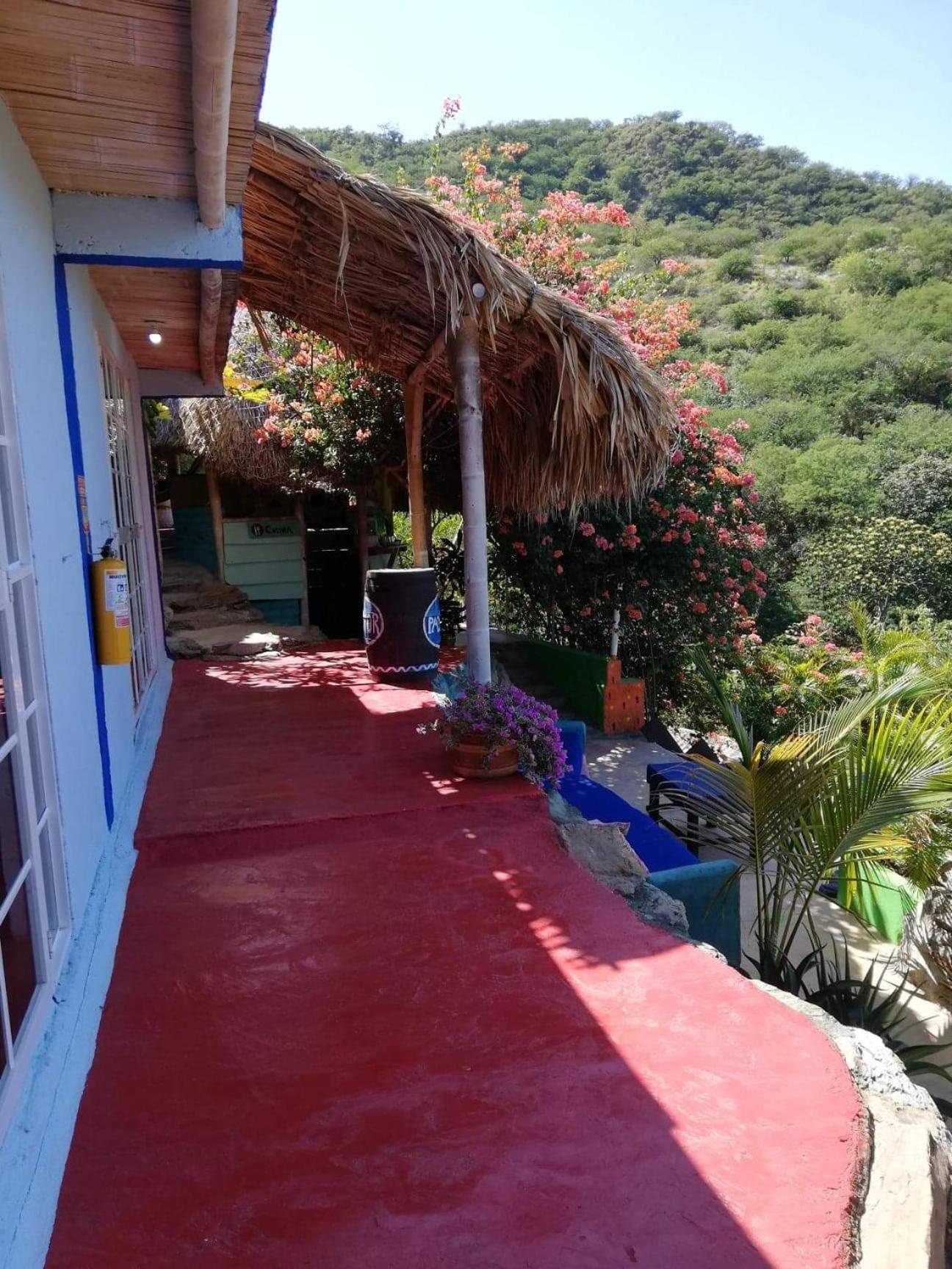 Hostal Casa Horizonte - Property Image 7