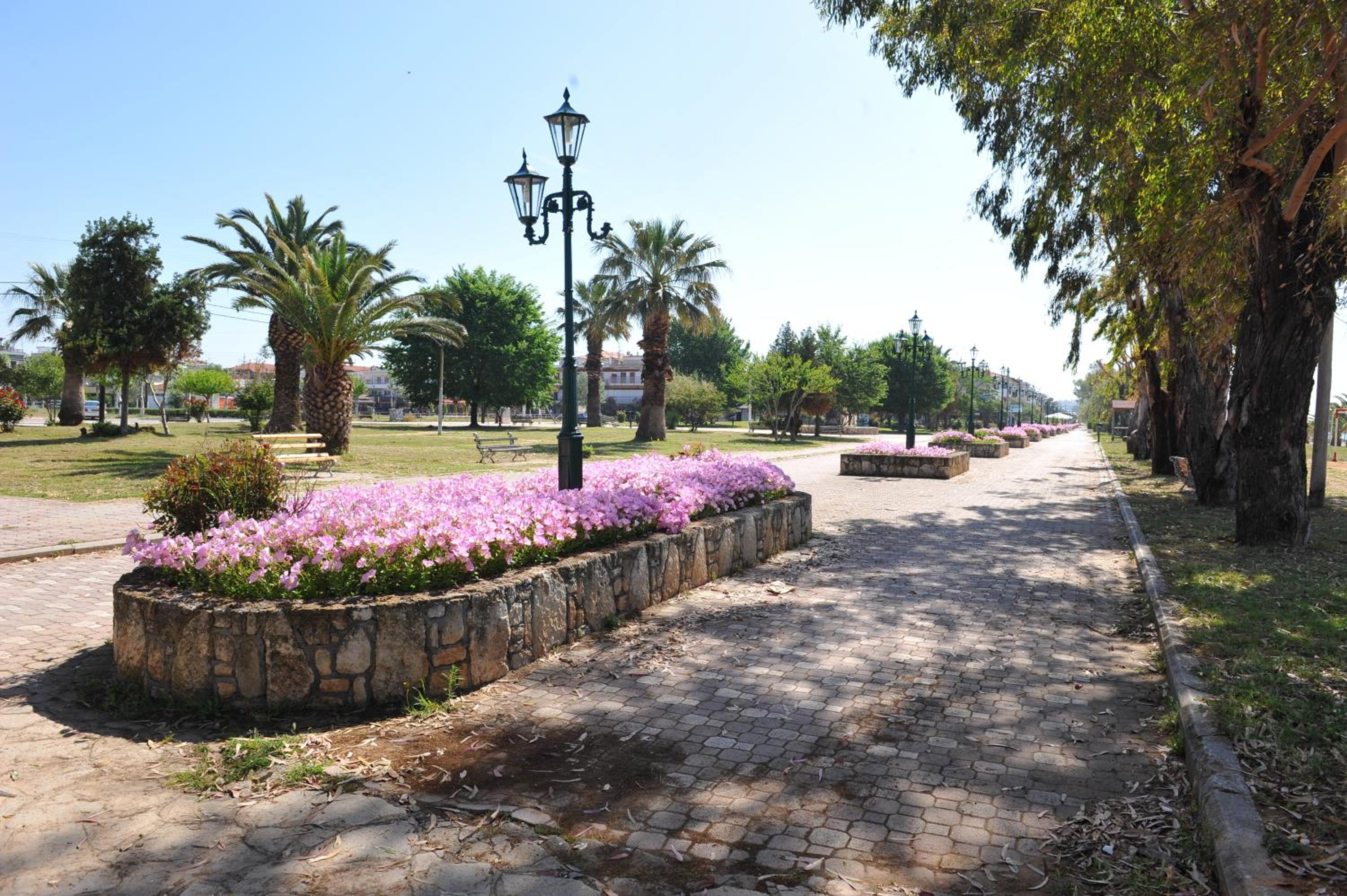 Apartments Dimitra