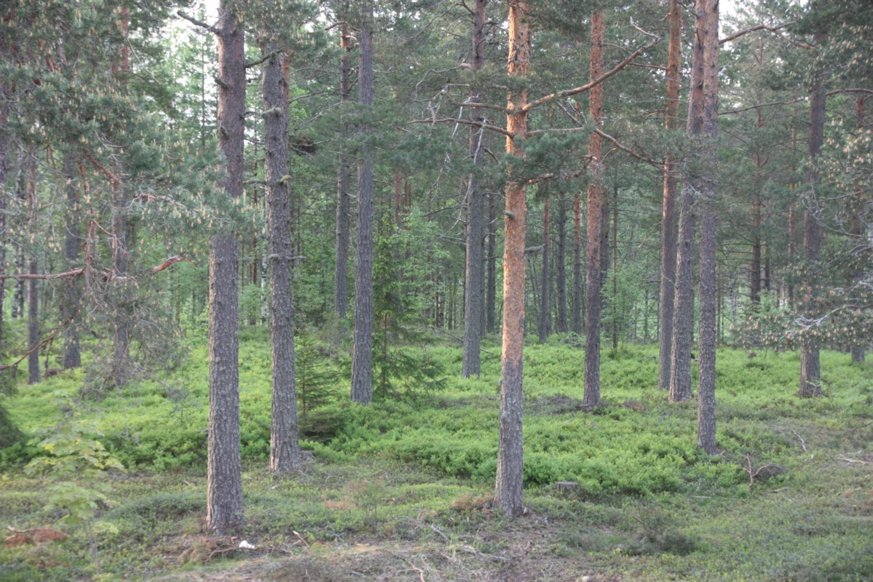 Photo 49