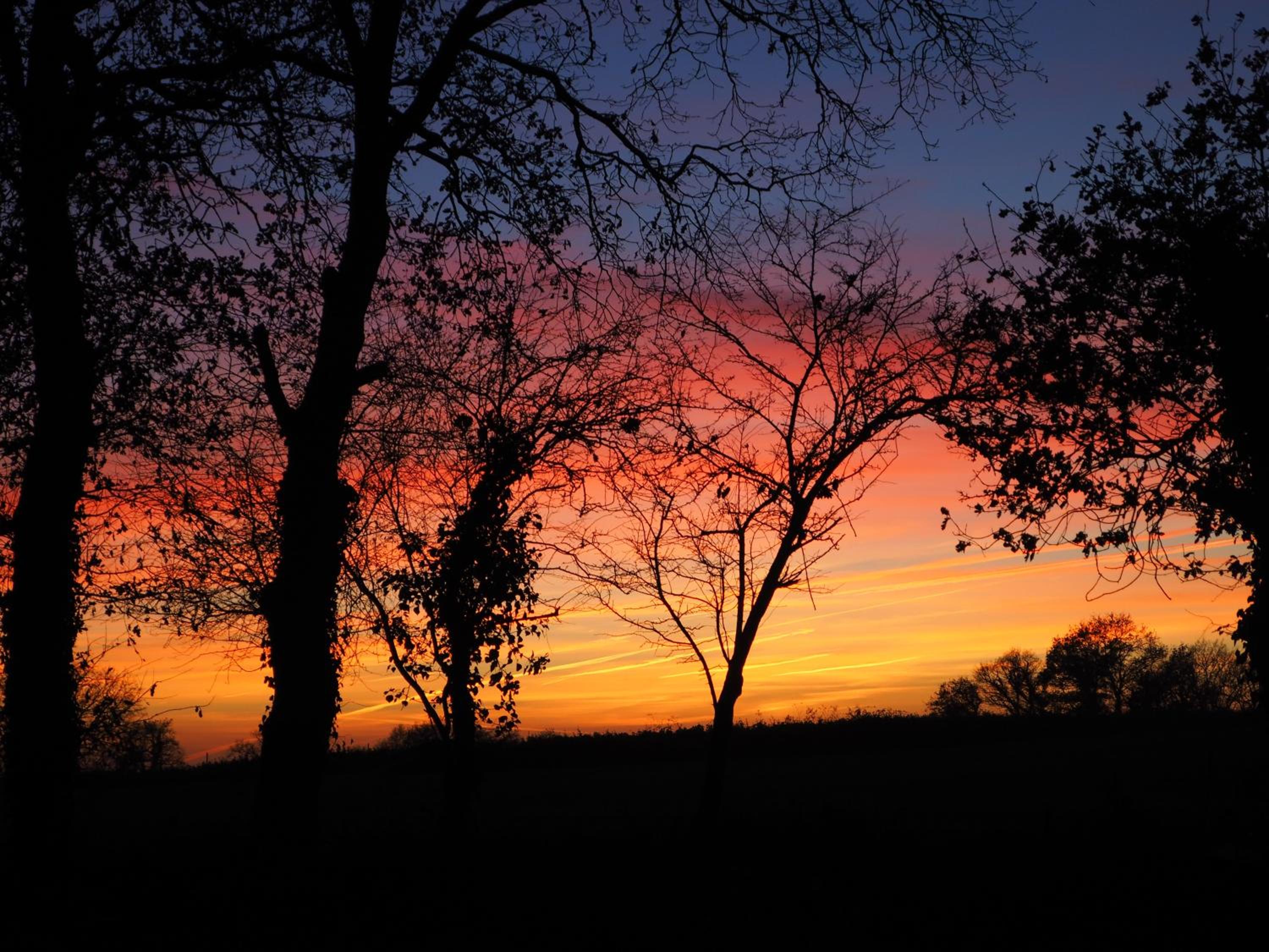 Photo 42