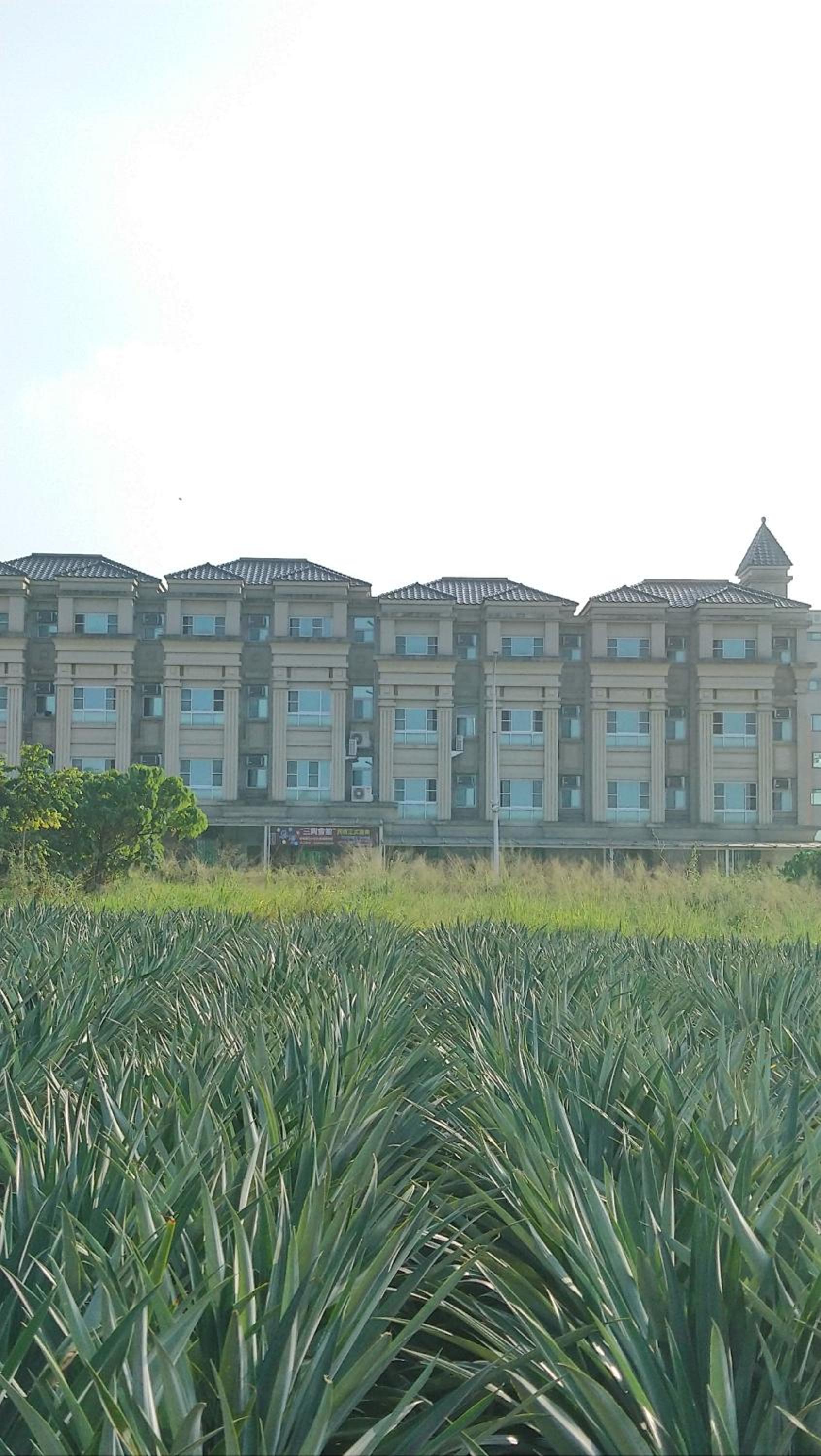 Sanxing Hall Homestay