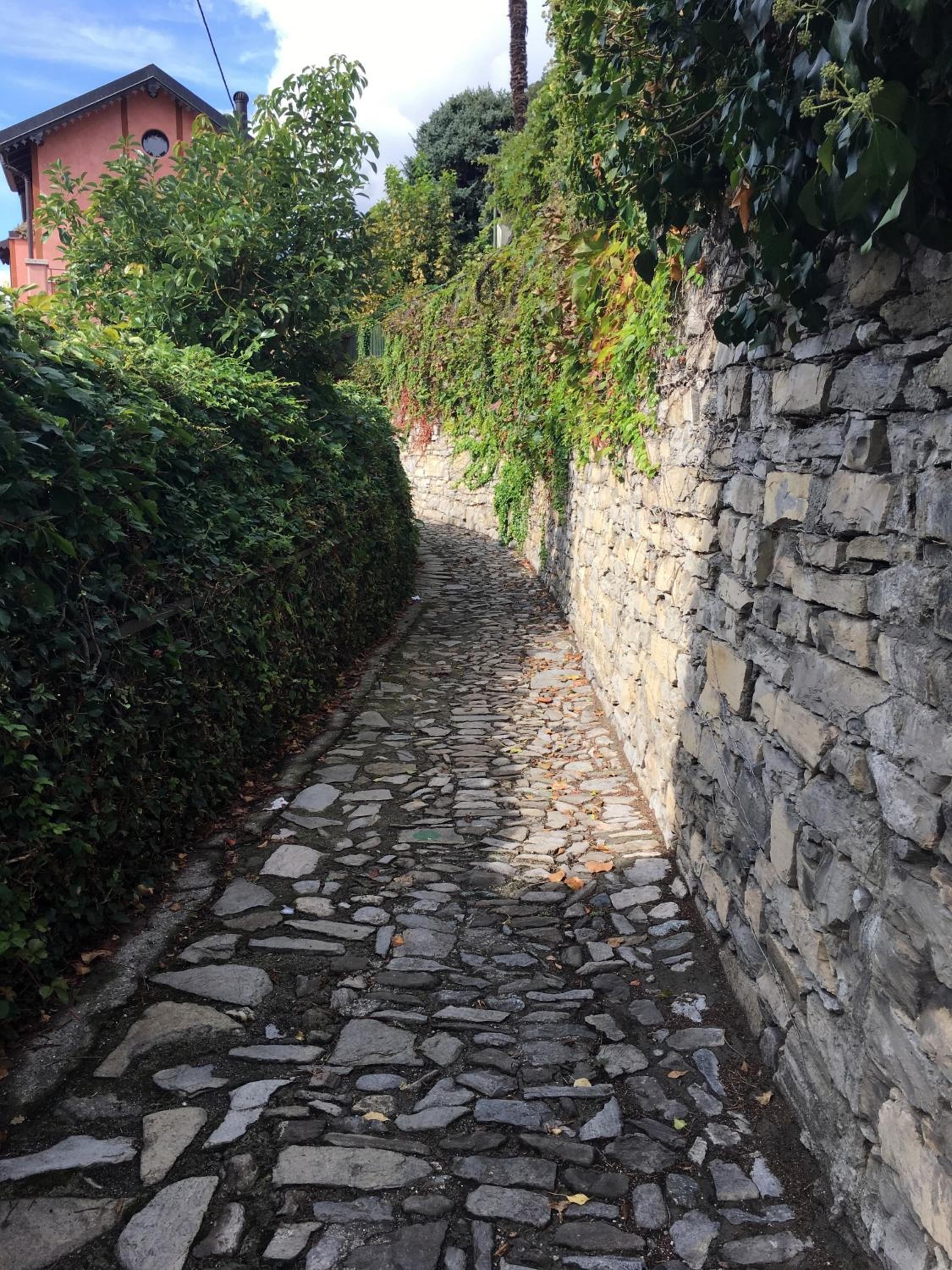 Photo 46