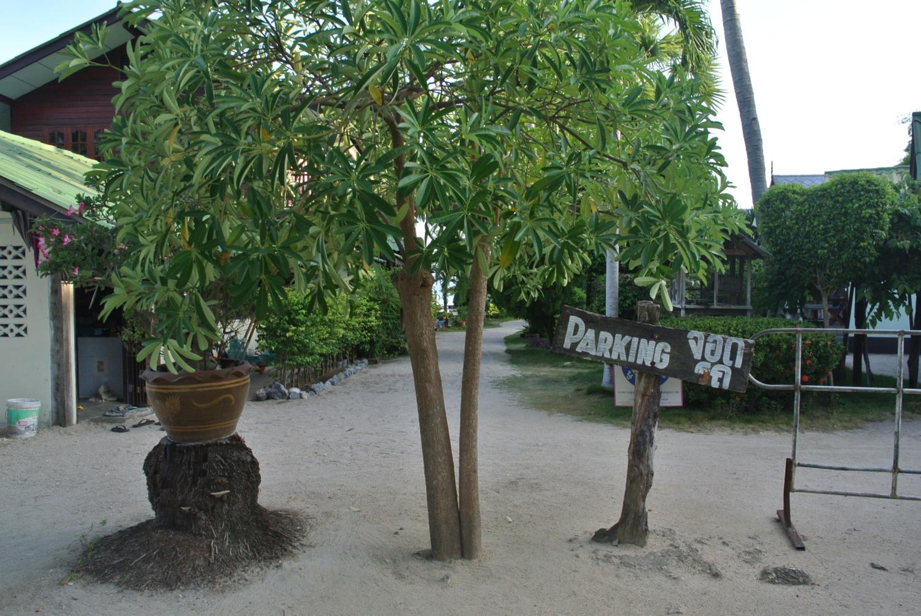 Dewshore Resort