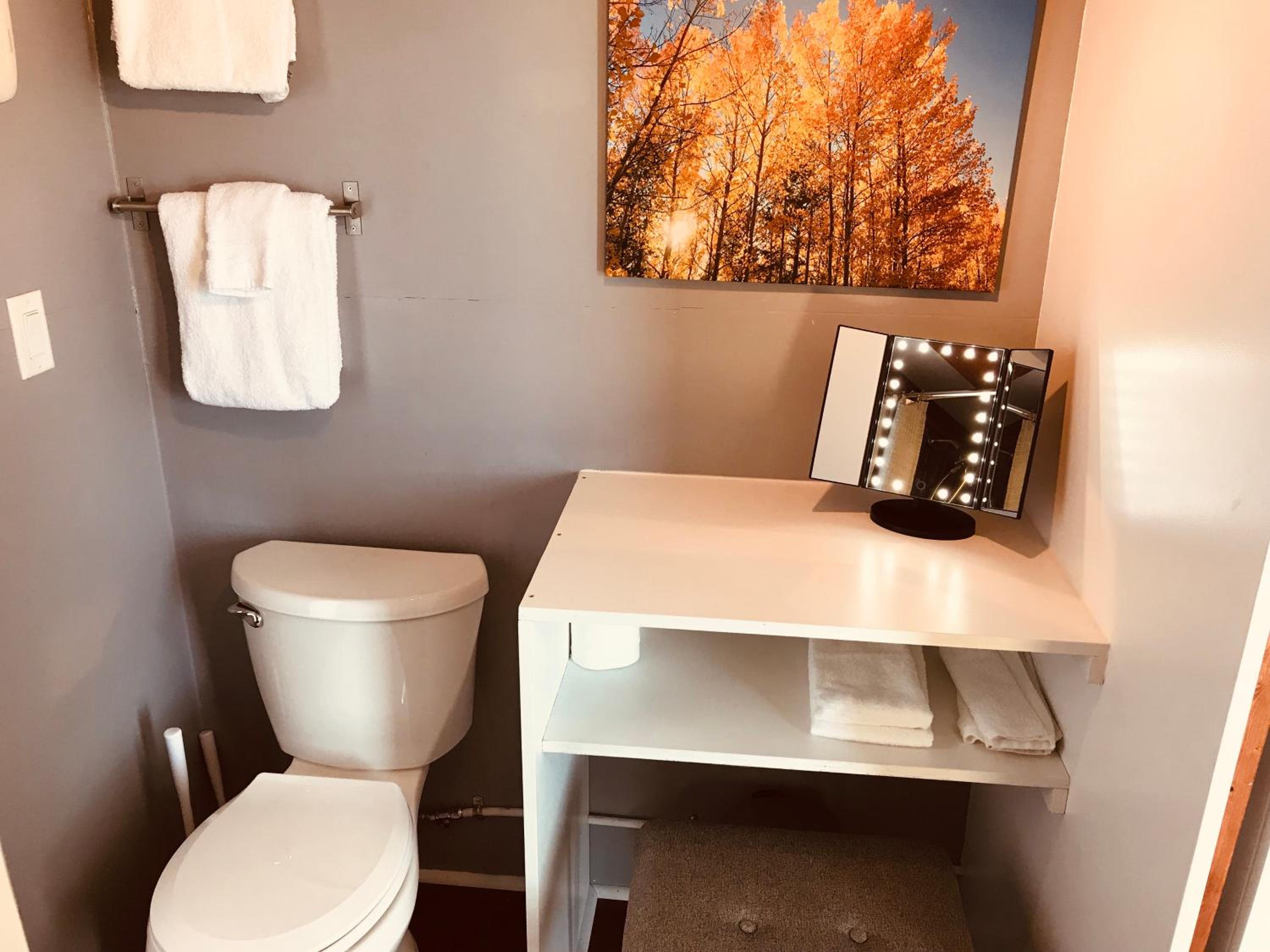 Tiny House Leadville Colorado