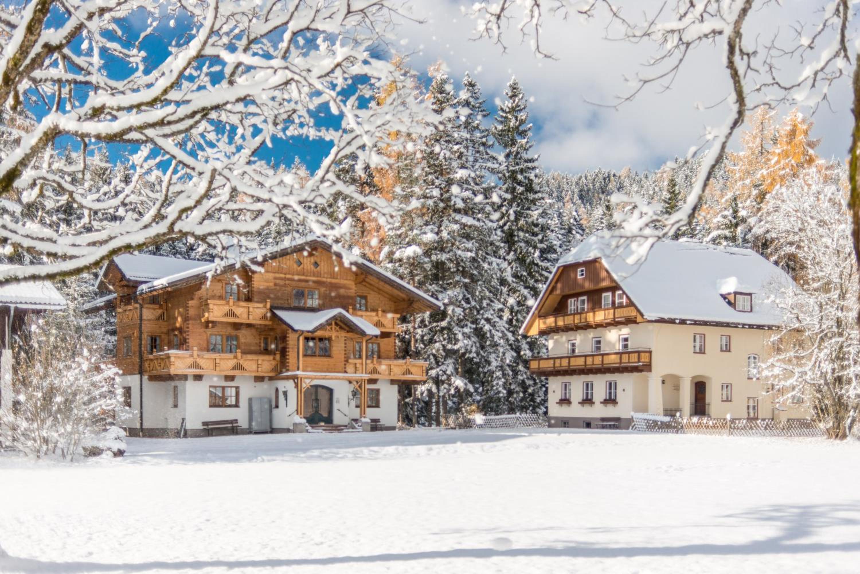 MEINE HEIMAT - Apartments in Ramsau am Dachstein - inklusive SOMMERCARD