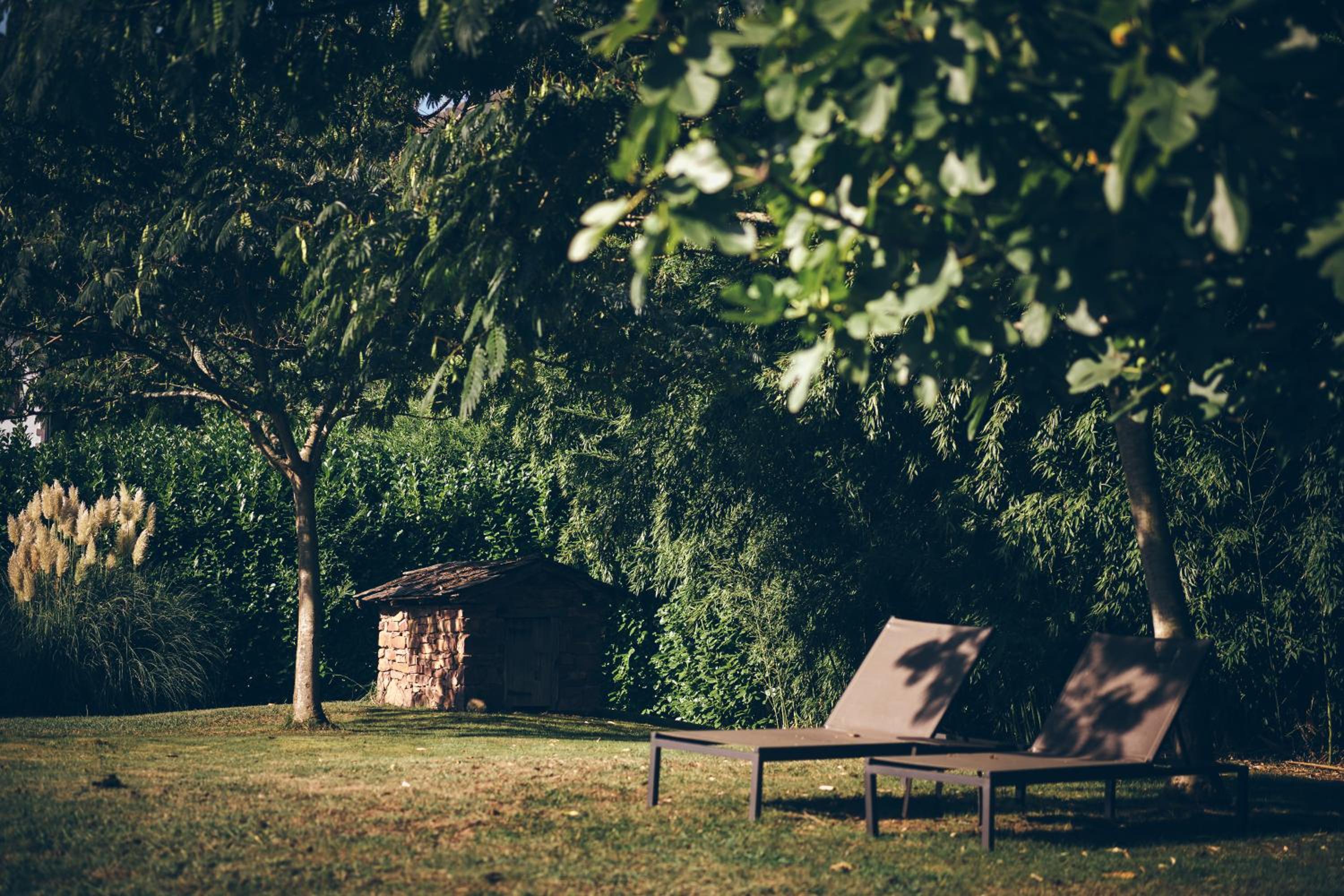 outdoor BBQ area