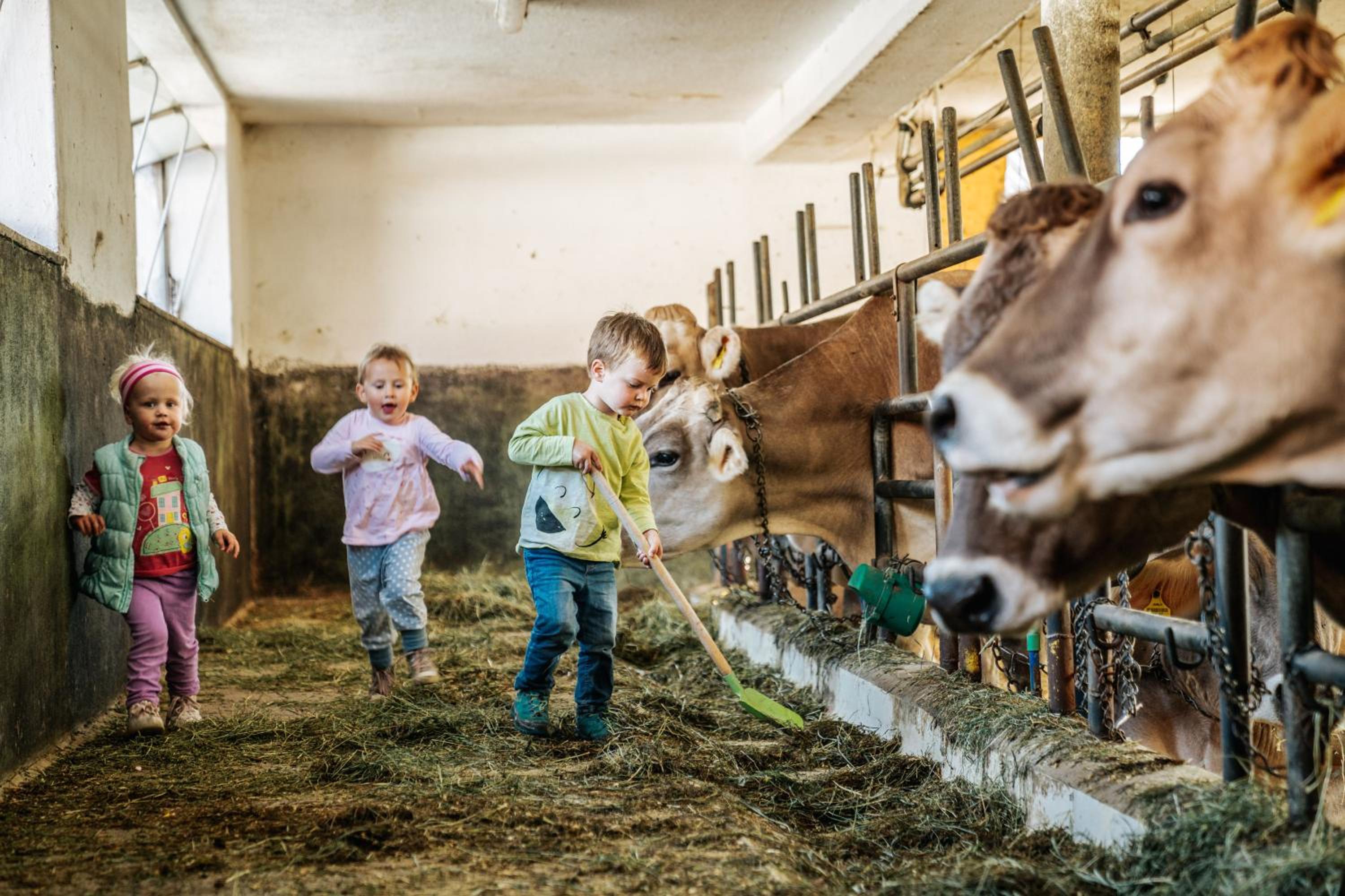 Photo 10