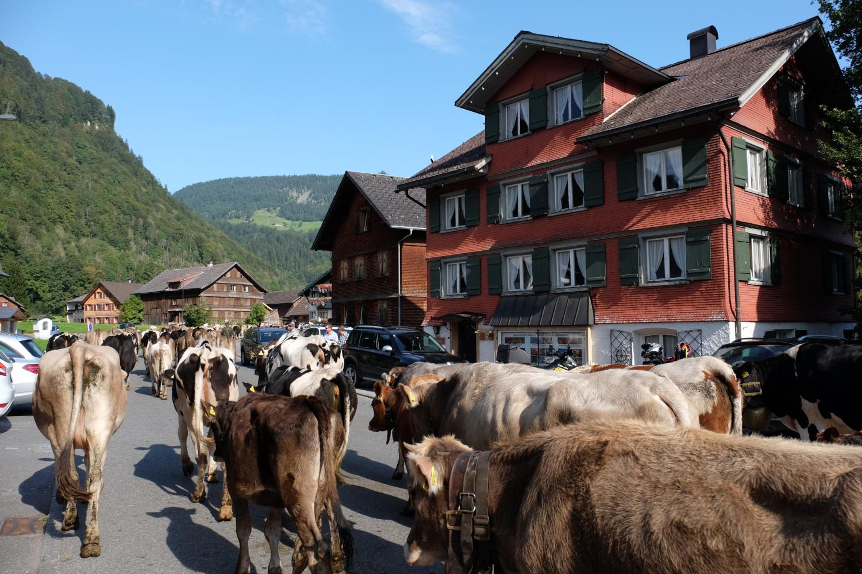 Alps Romantik