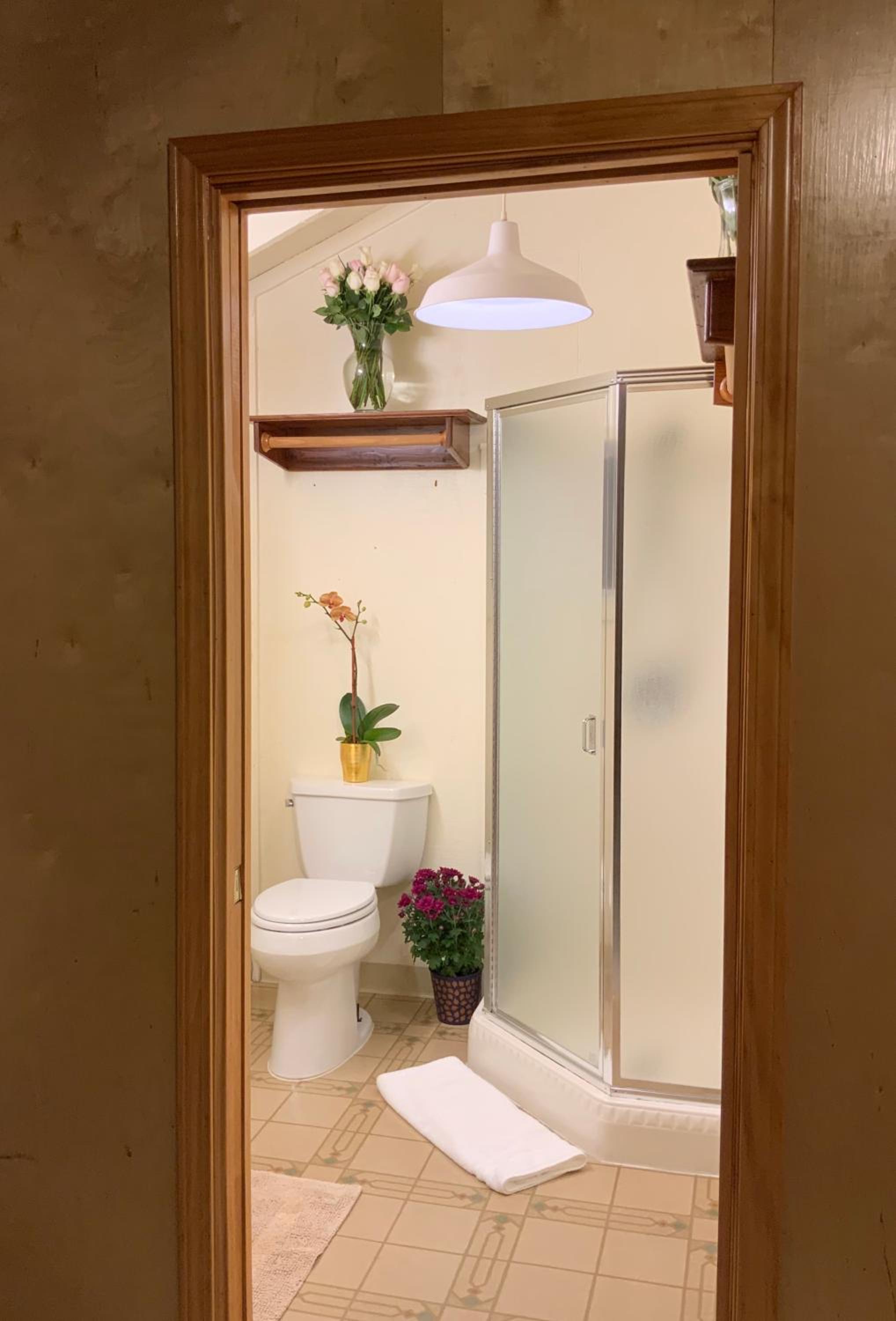 The Woods Hotel - Gay LGBTQ Cabins