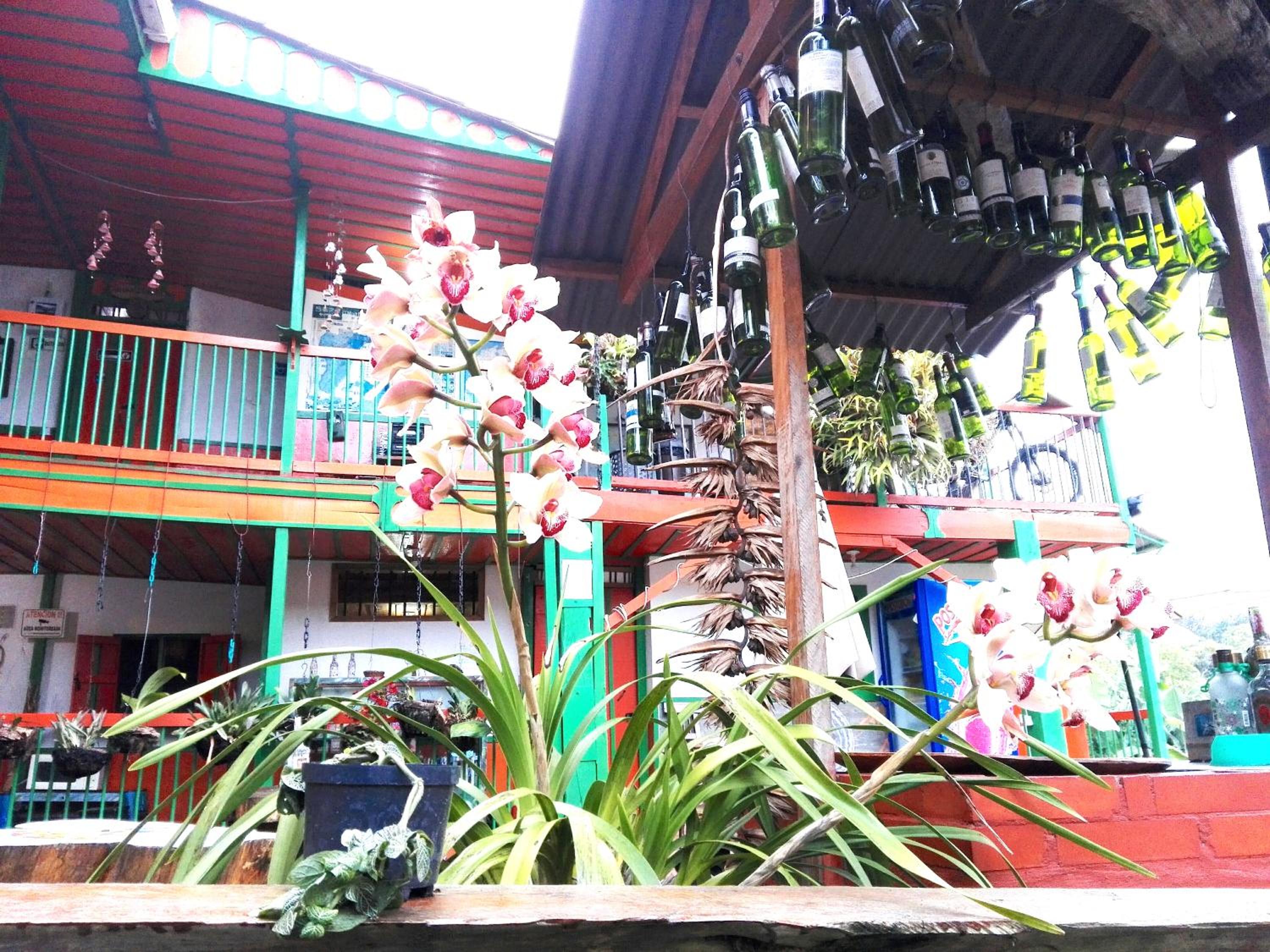 Hostal Estrella de Agua