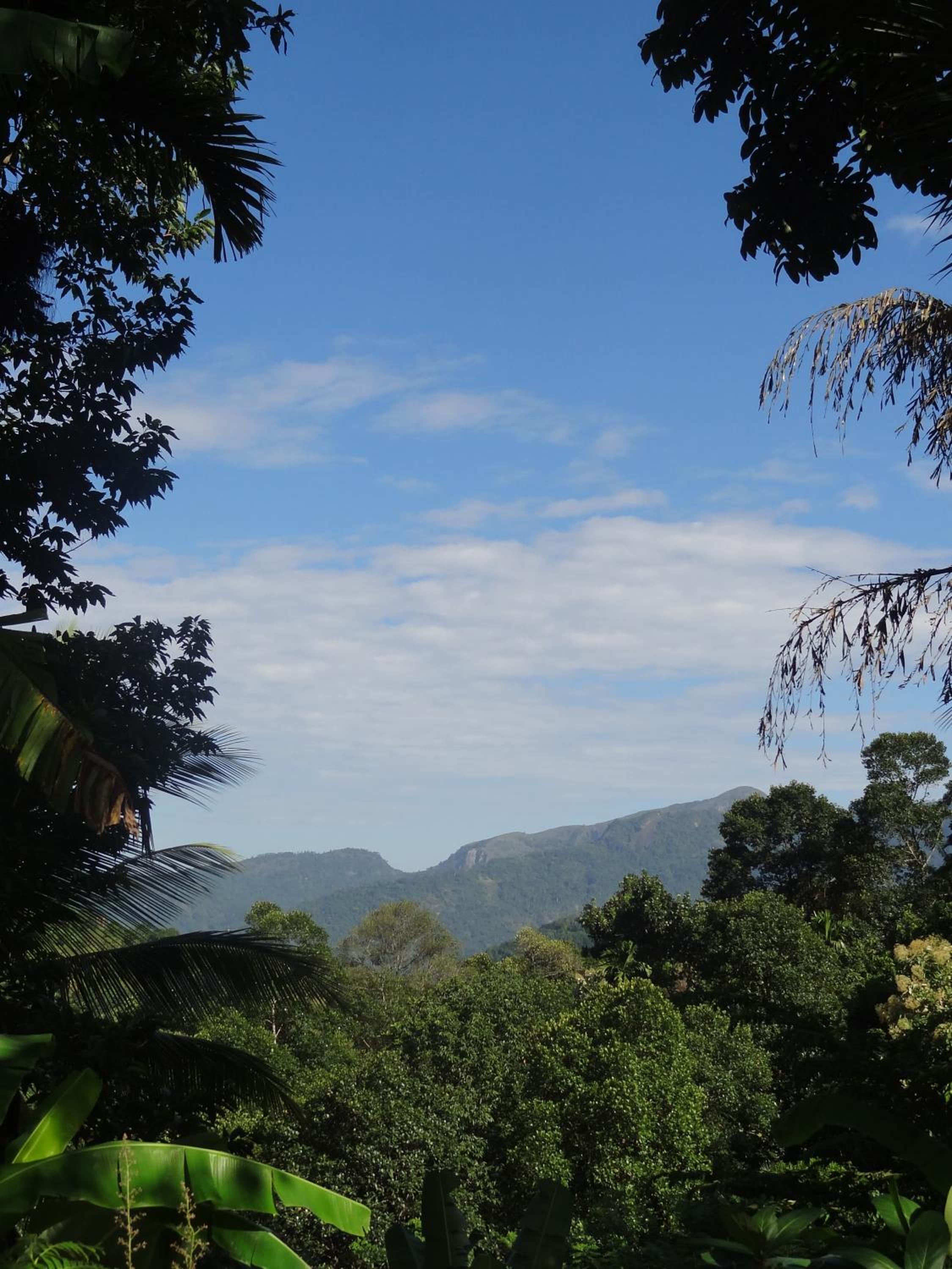 Strathisla Tea Estate Bungalow